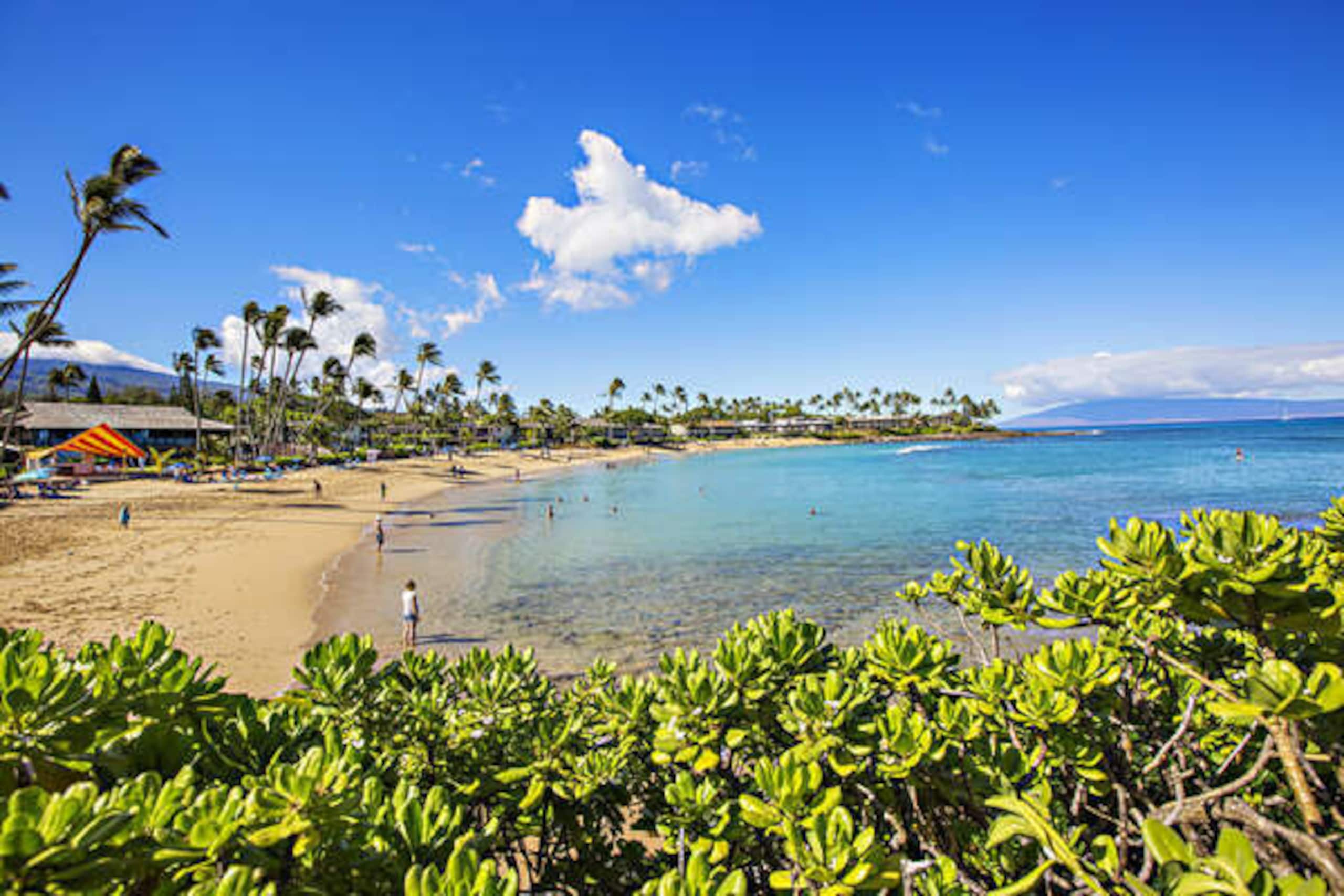 Ground floor unit, minutes away from Napili Bay - Photo 26
