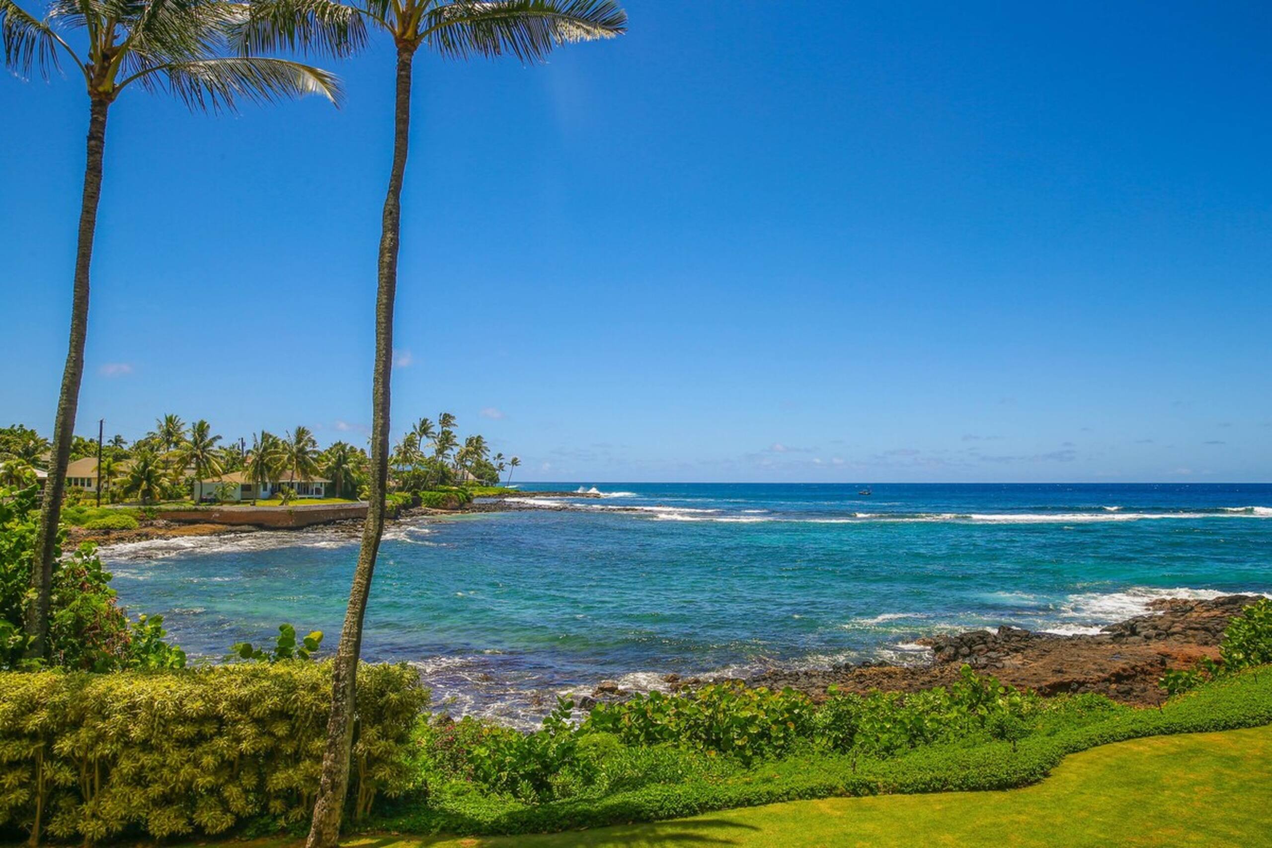 Spacious Oceanfront Poipu Condo Kuhio Shores 202 - Photo 13