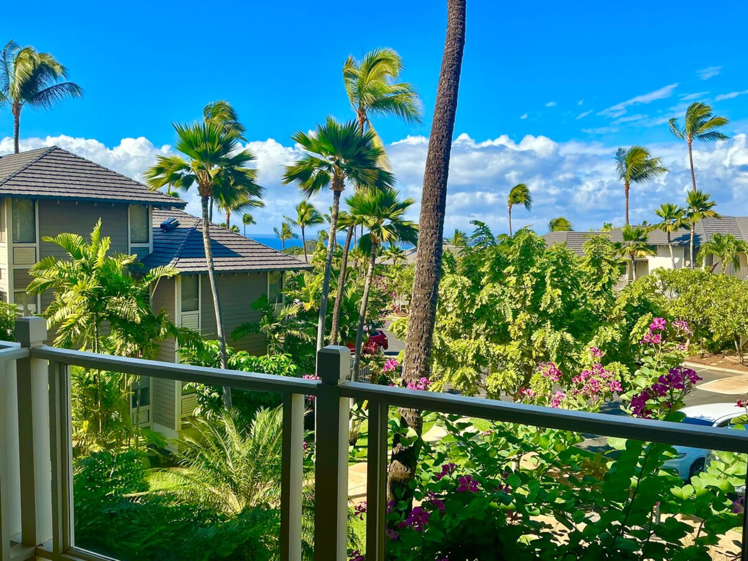 Wailea Ocean View Condo - Photo 27
