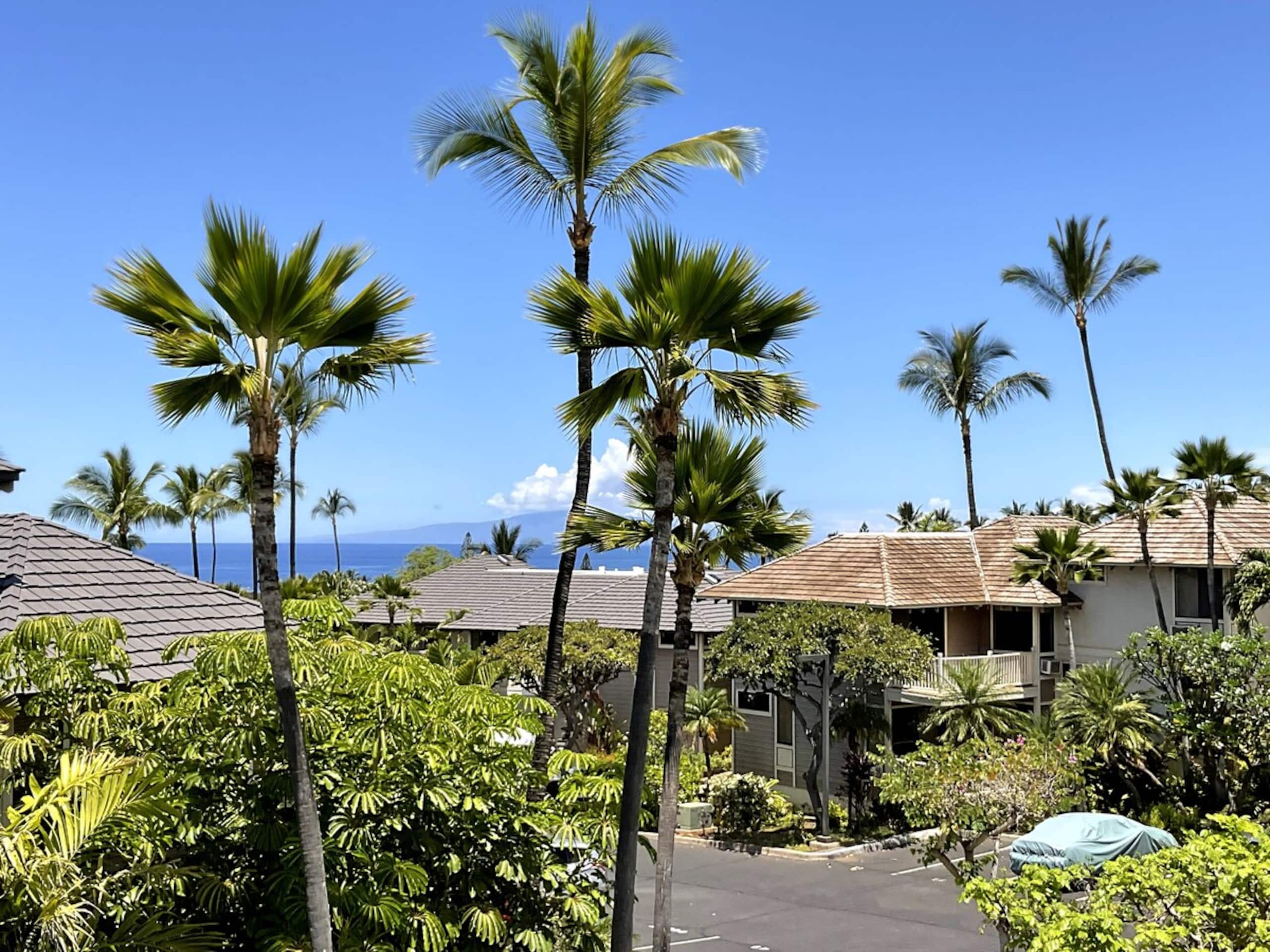 Wailea Ocean View Condo - Main photo