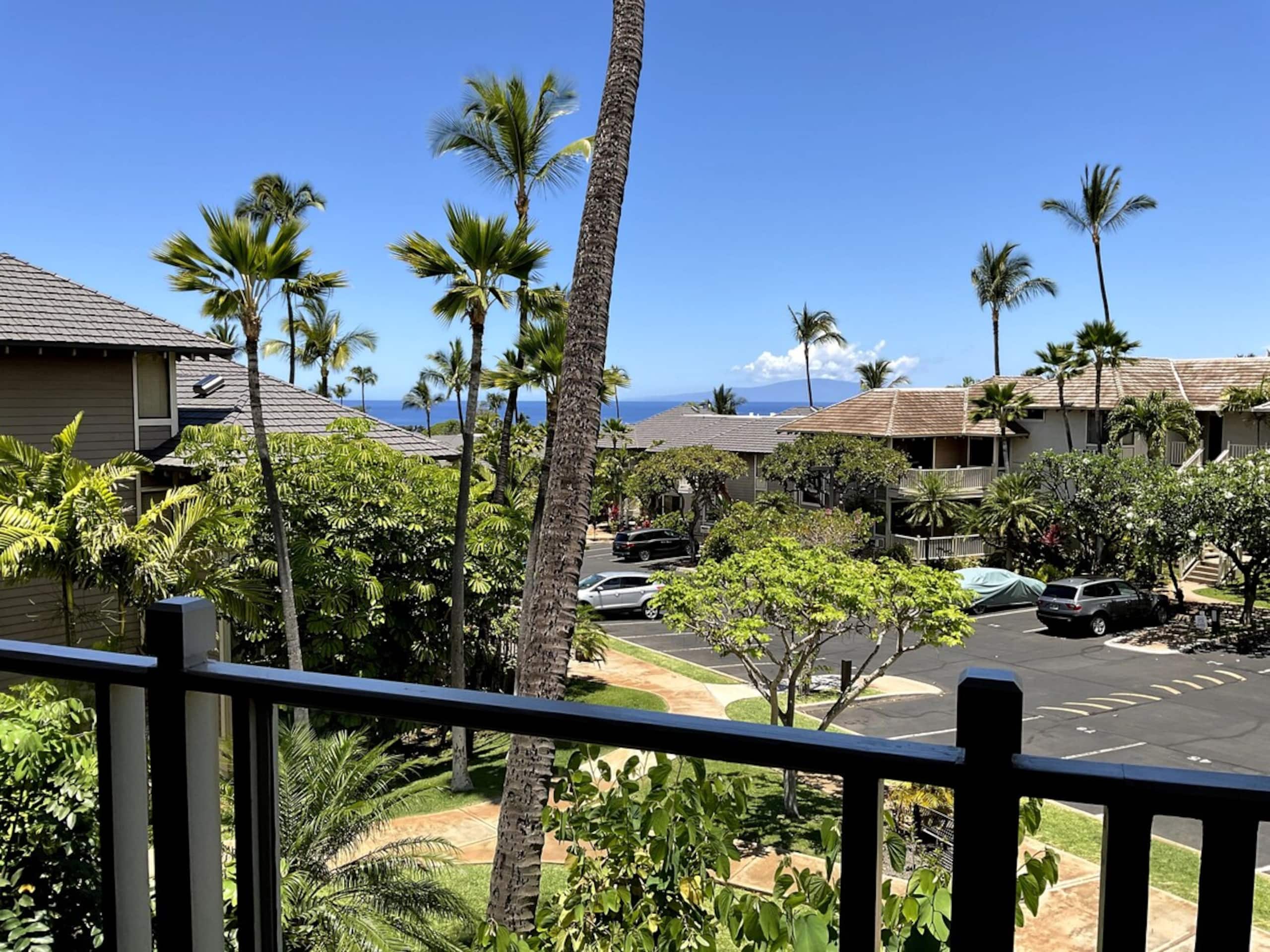 Wailea Ocean View Condo - Photo 11