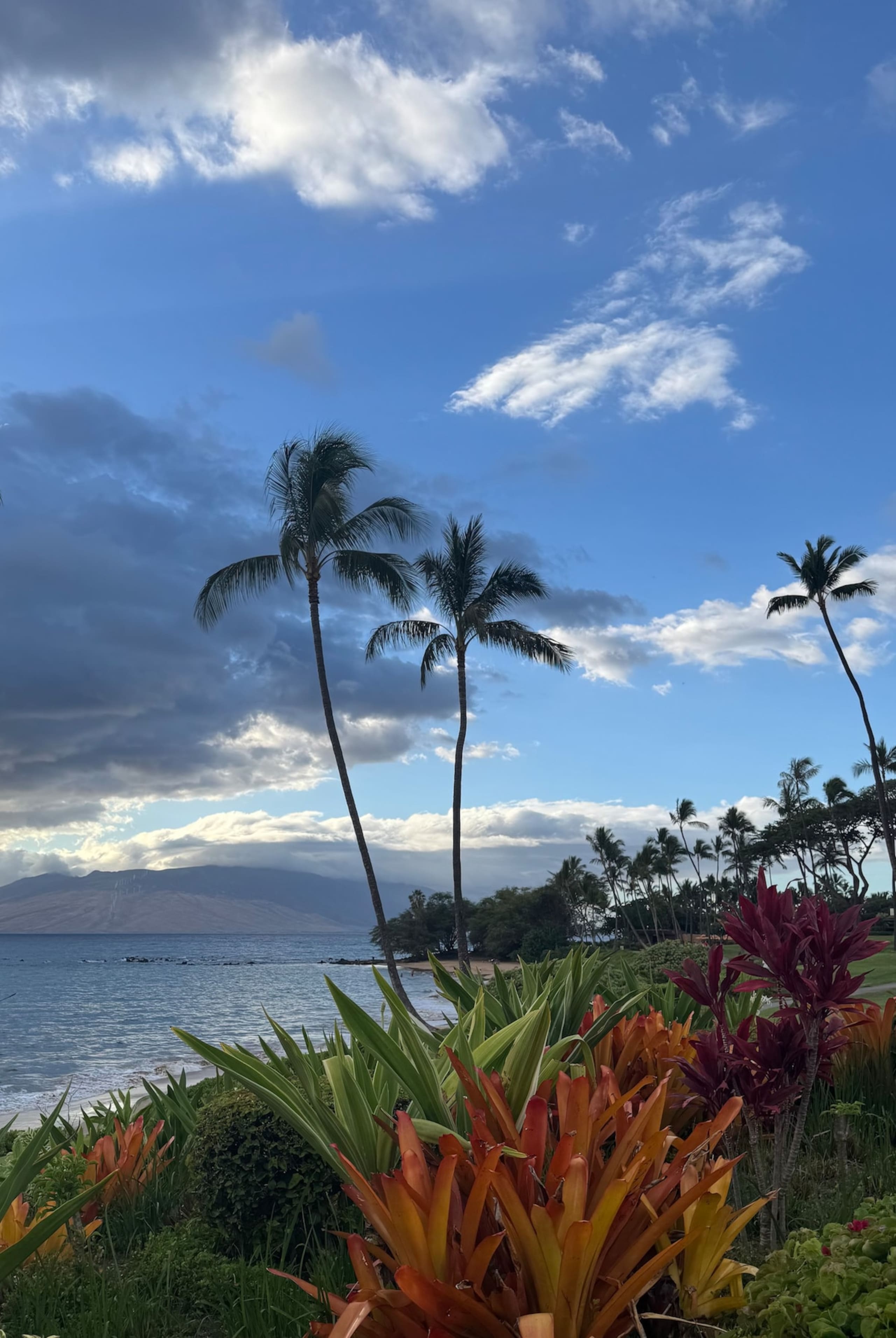 S. Kihei Condo - Photo 2