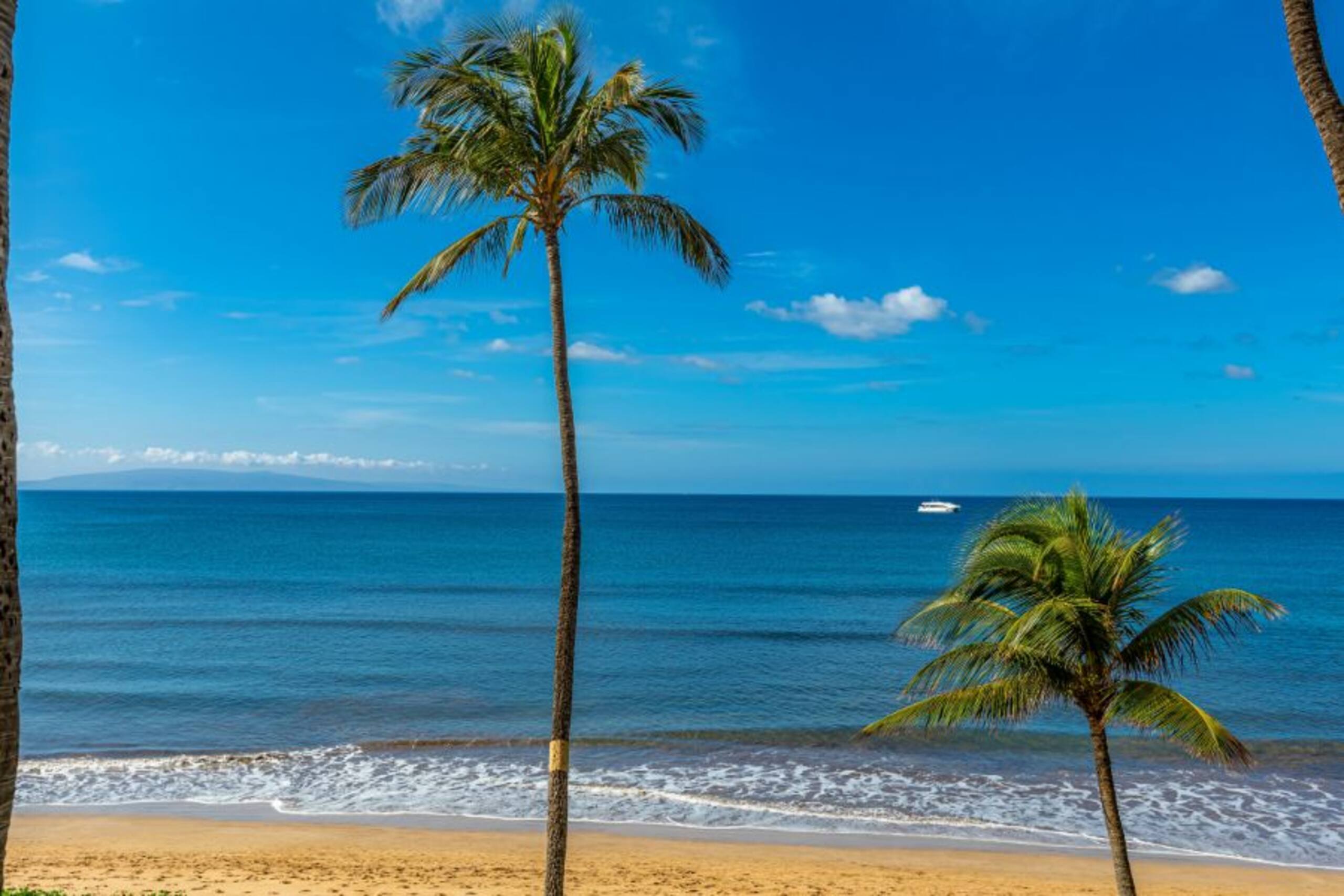 Gorgeous Oceanfront Retreat - Sugar Beach 326 - Photo 37