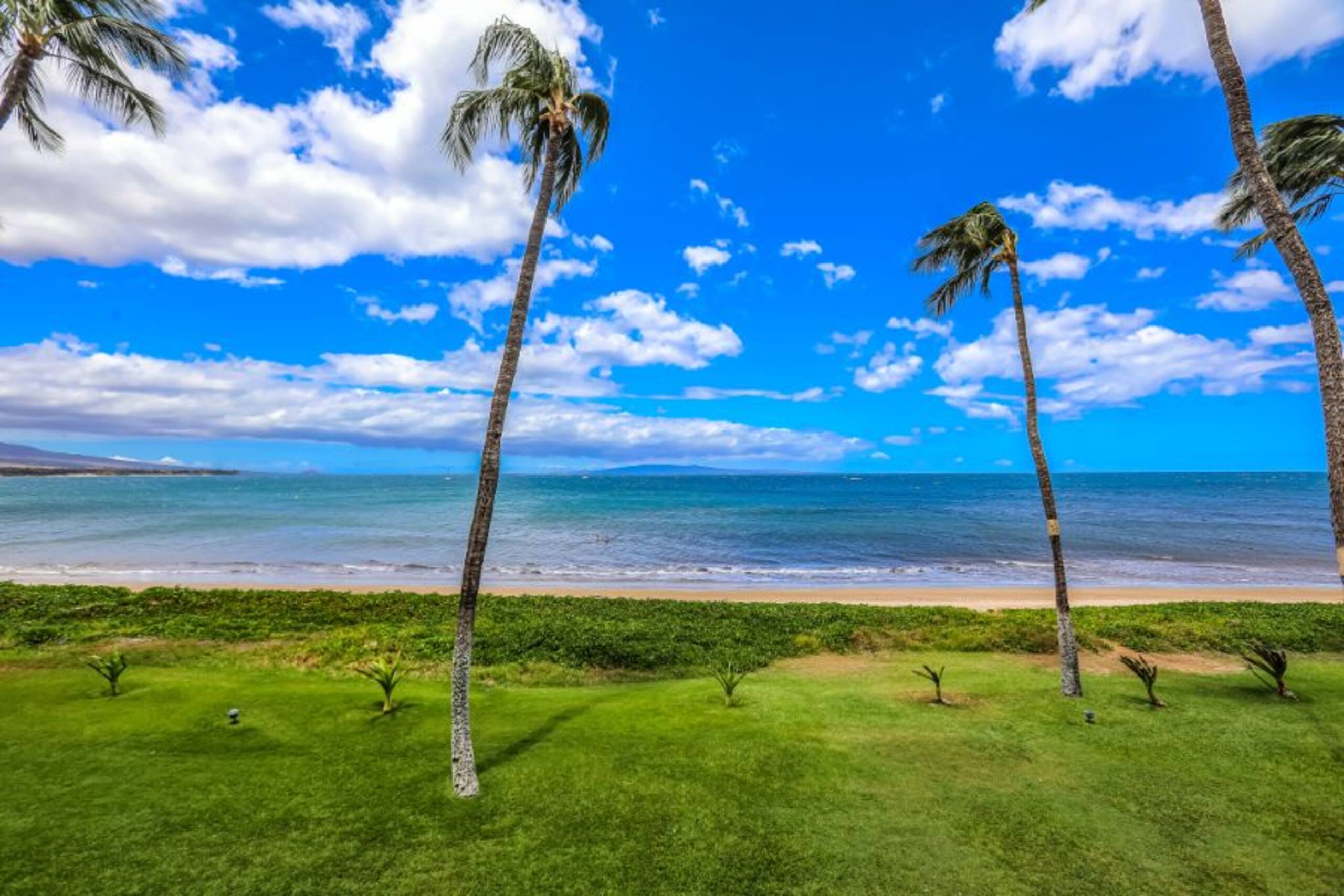 Gorgeous Oceanfront Retreat - Sugar Beach 326 - Photo 20