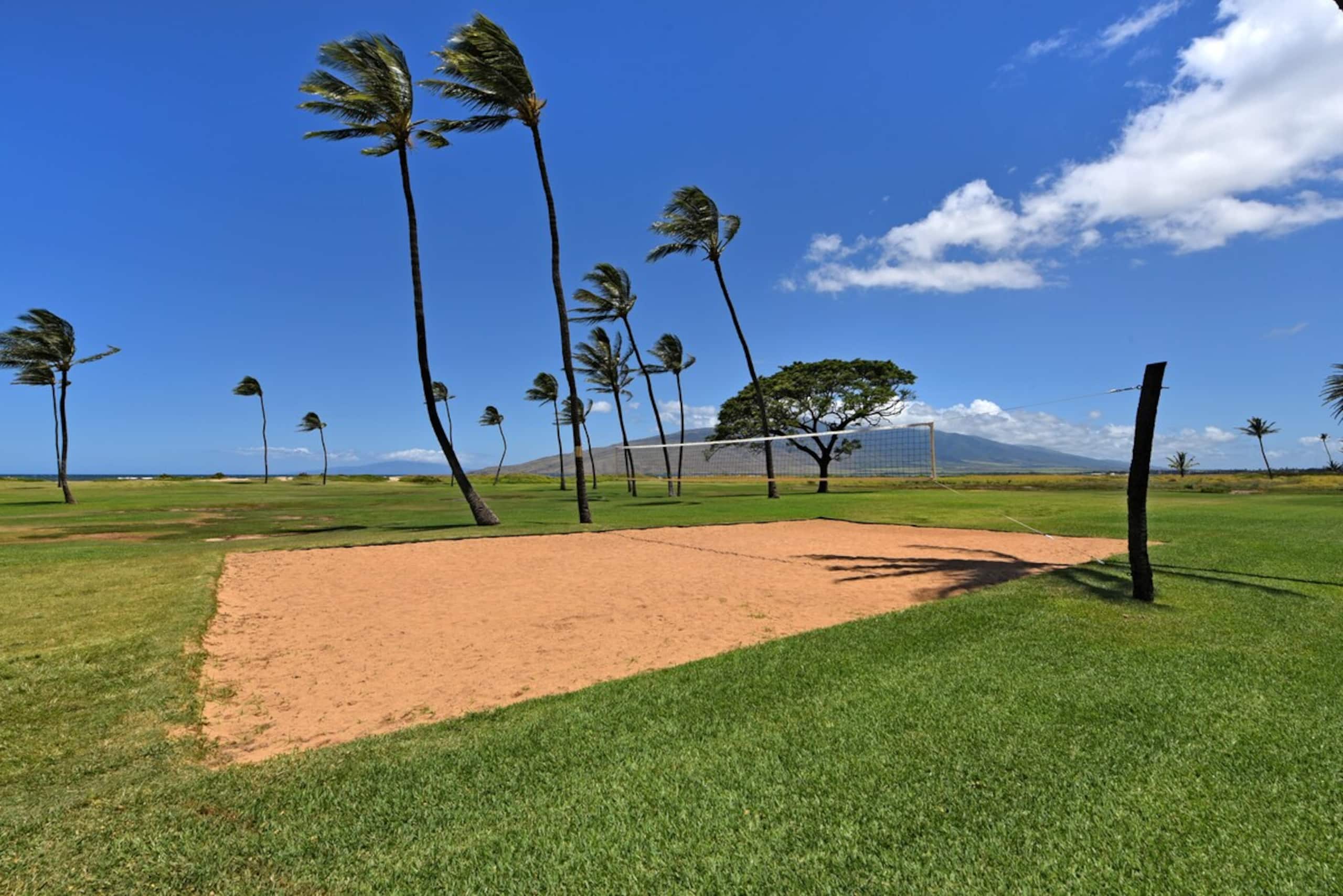 Kauhale Makai 131 OceanFront 1stFloor 1BD AC Beach - Photo 40