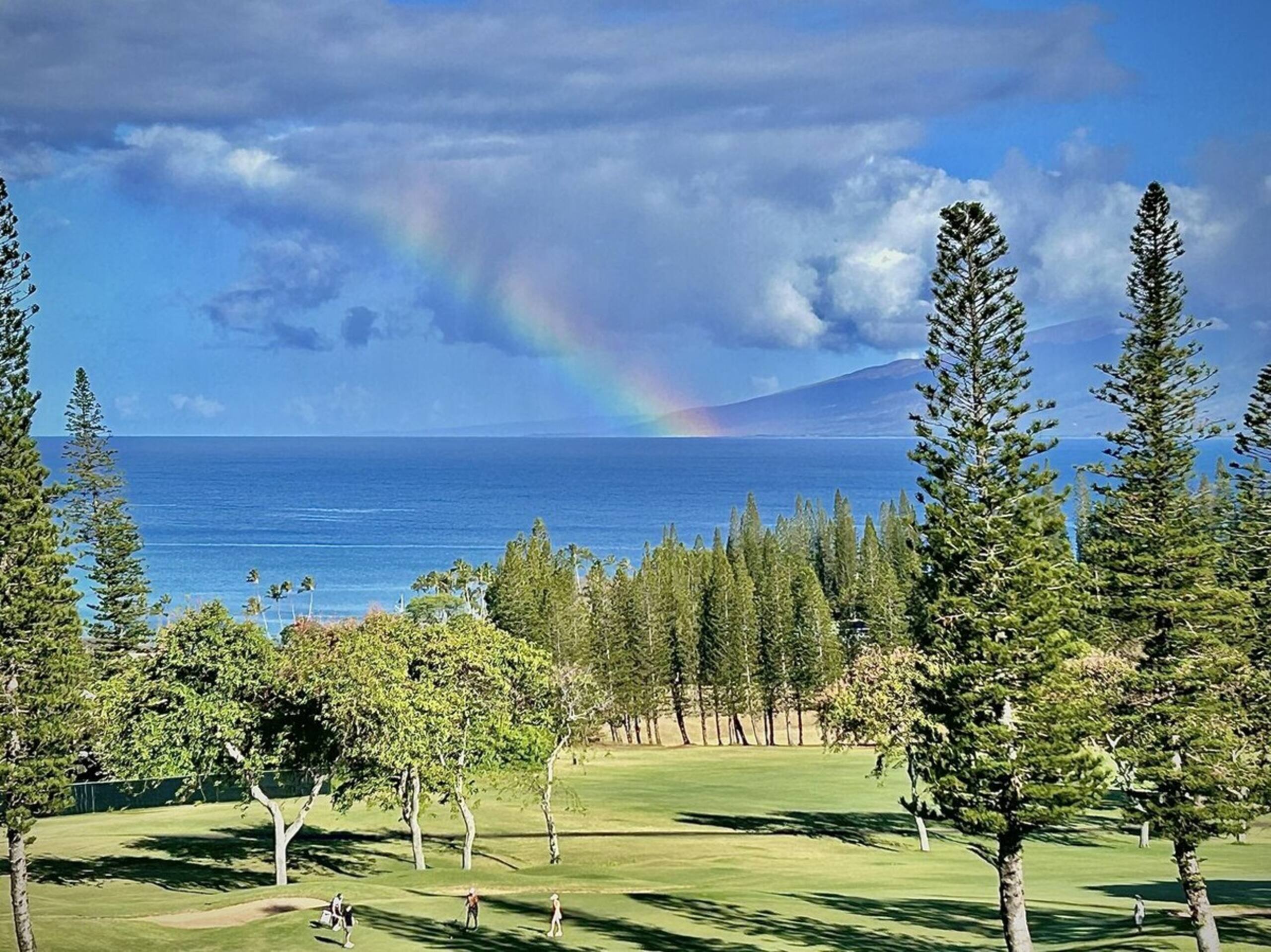 Exclusive 1bd villa in a prime Island hotspot - Photo 13