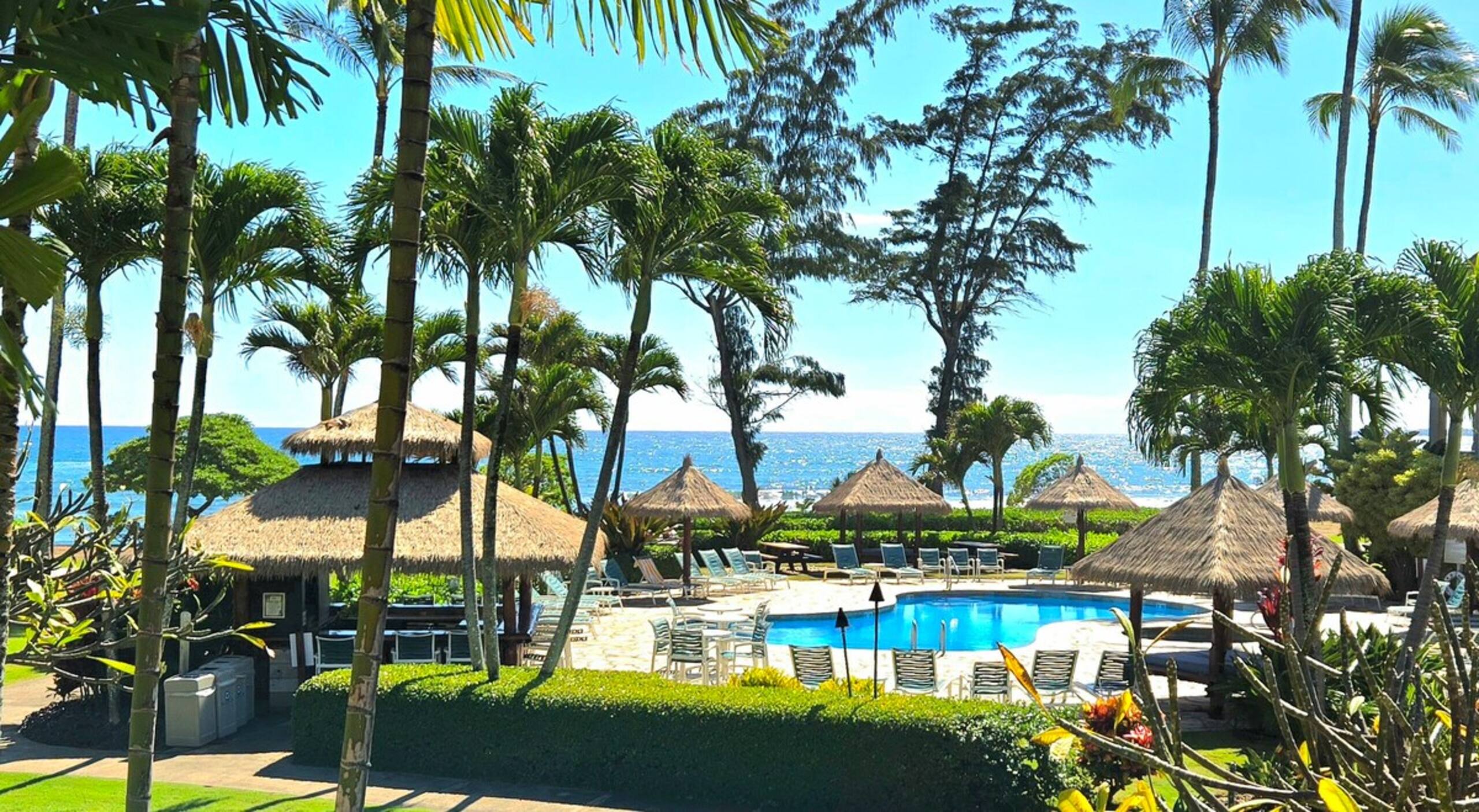 Ocean, Pool & Courtyard View Condo - corner unit - Photo 25