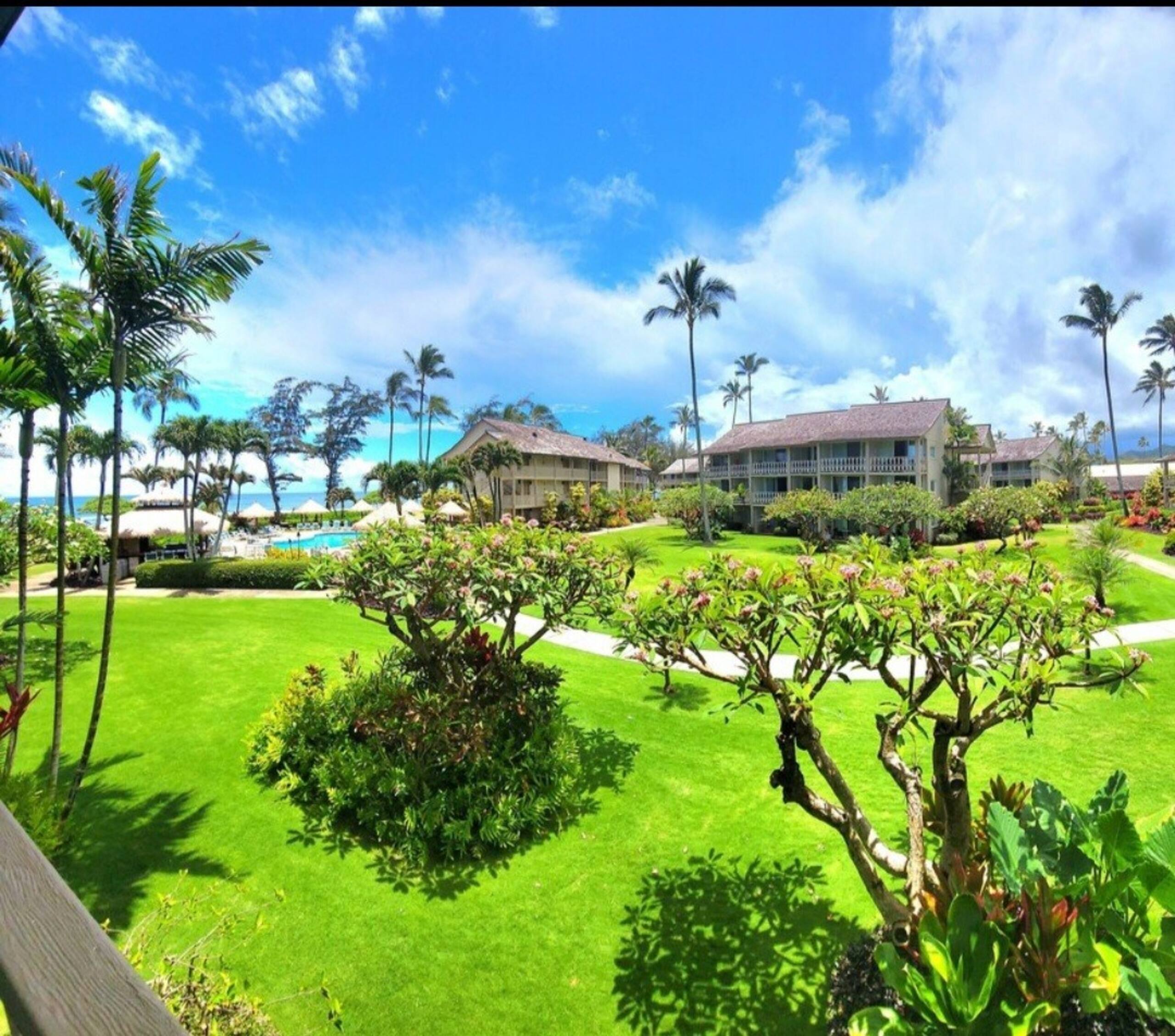 Ocean, Pool & Courtyard View Condo - corner unit - Photo 16