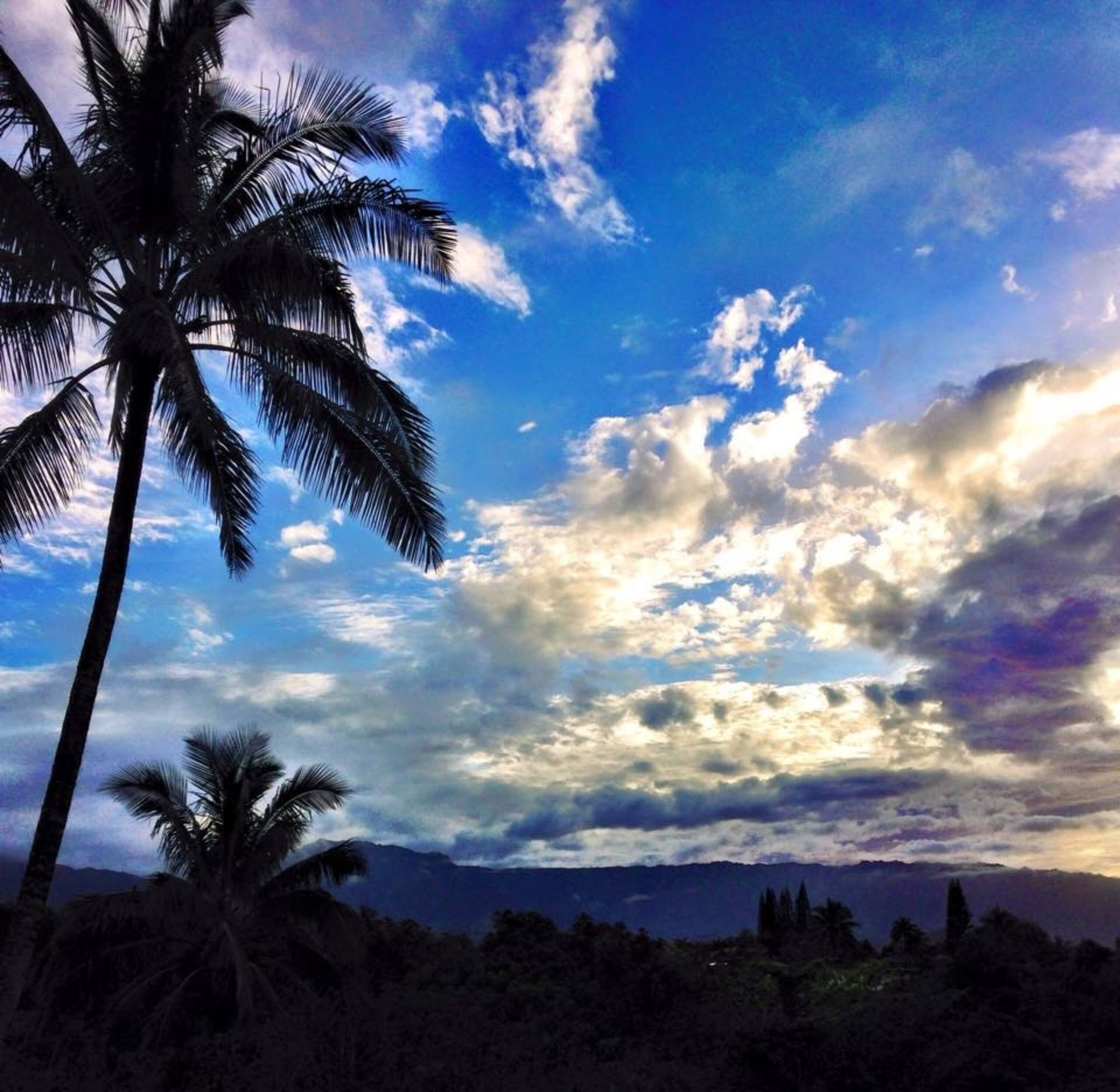 A/C Vibrant Tropical Sunsets ~Heated Pool/Jacuzzi - Photo 3