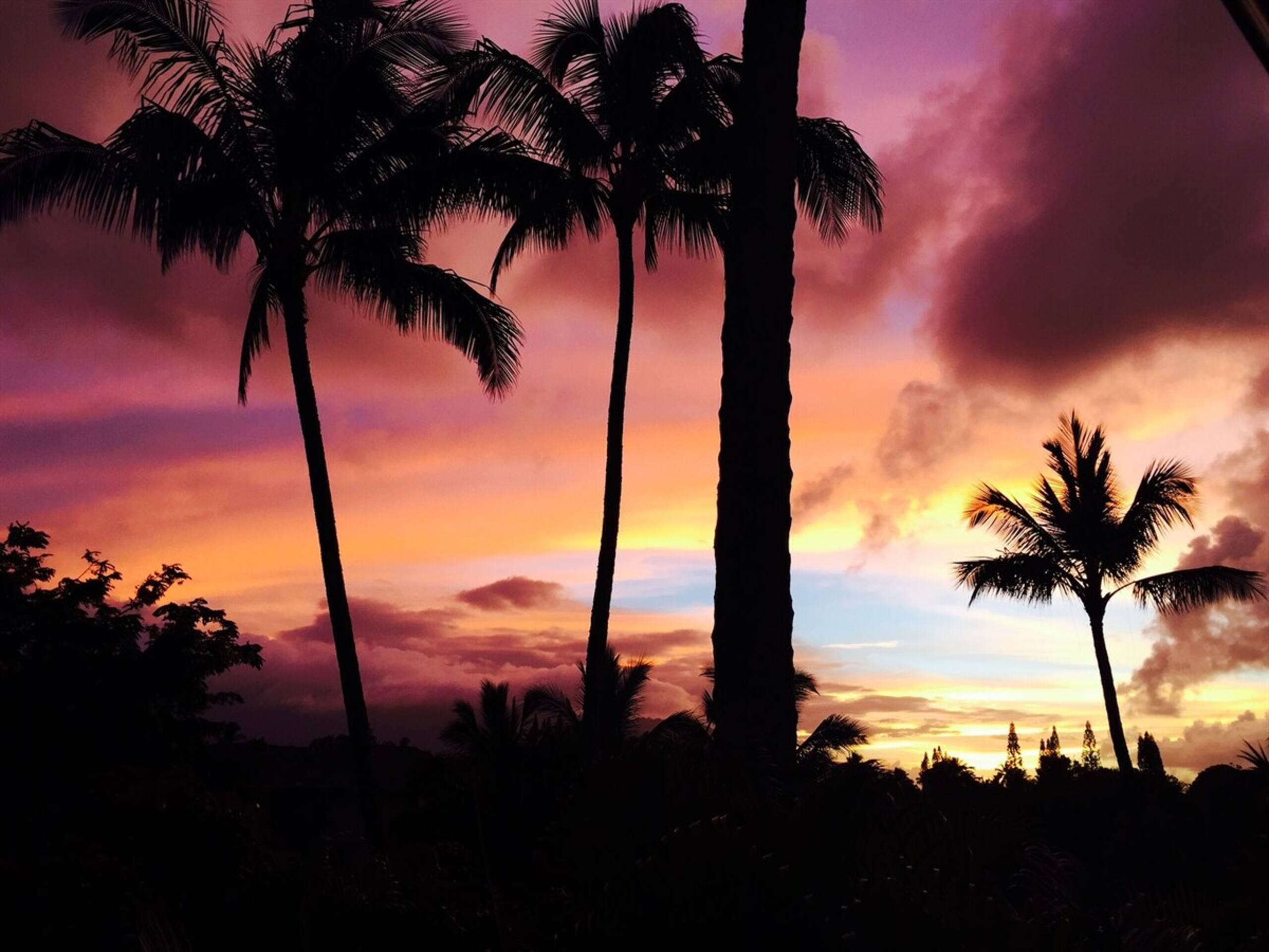 A/C Vibrant Tropical Sunsets ~Heated Pool/Jacuzzi - Photo 9