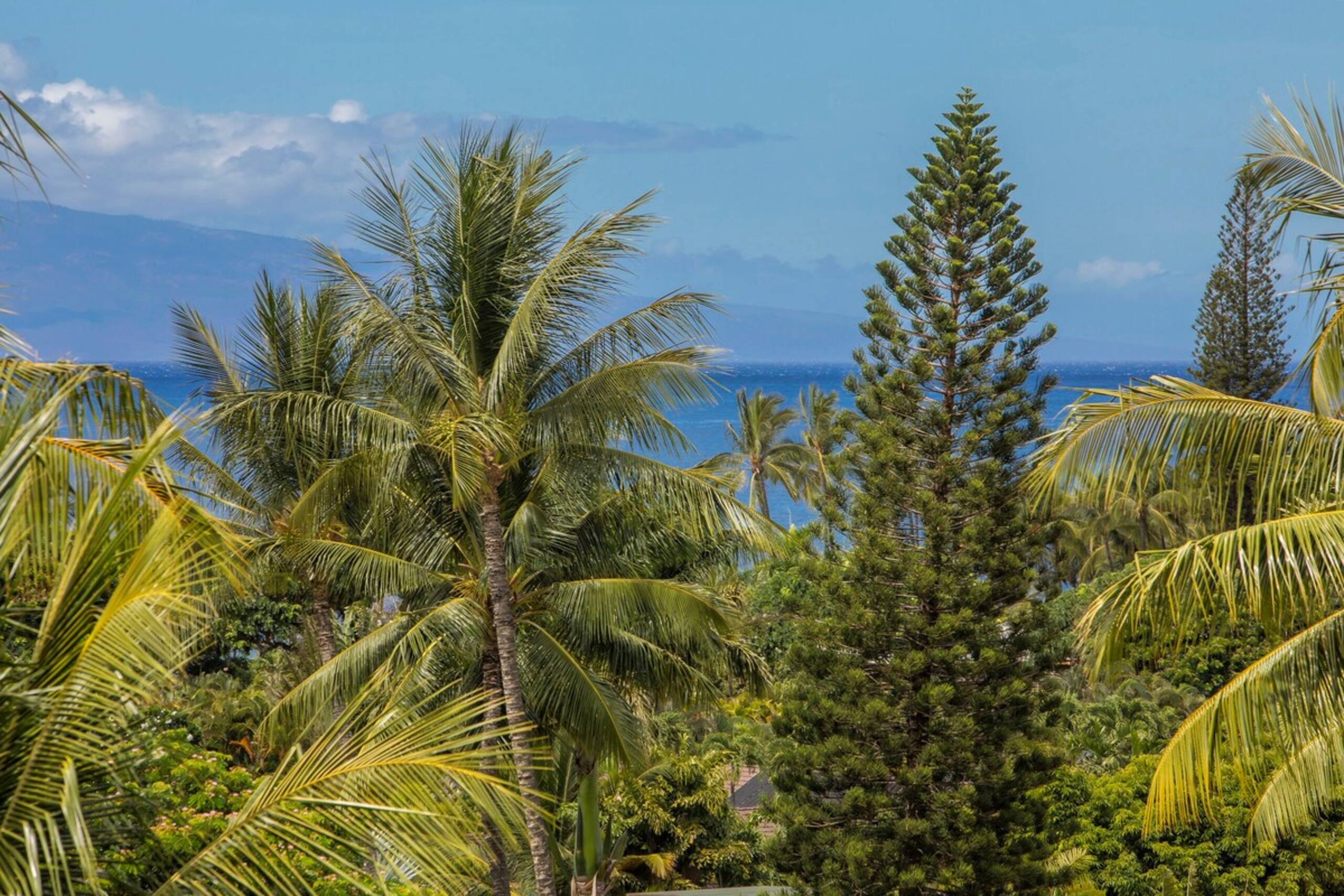 Panoramic Ocean Views, Great Rates PA1005 - Photo 2