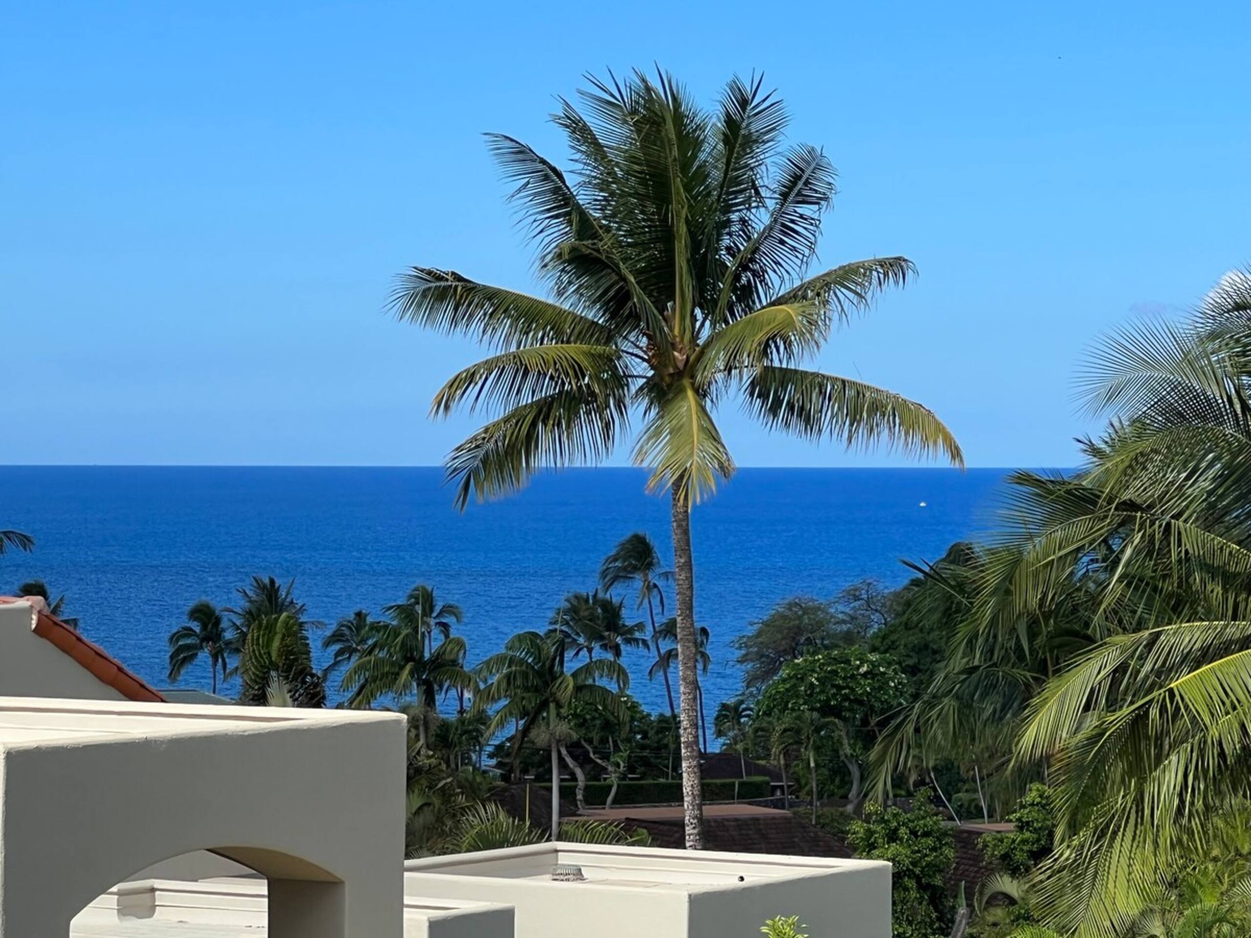 Panoramic Ocean Views, Great Rates PA1005 - Photo 44