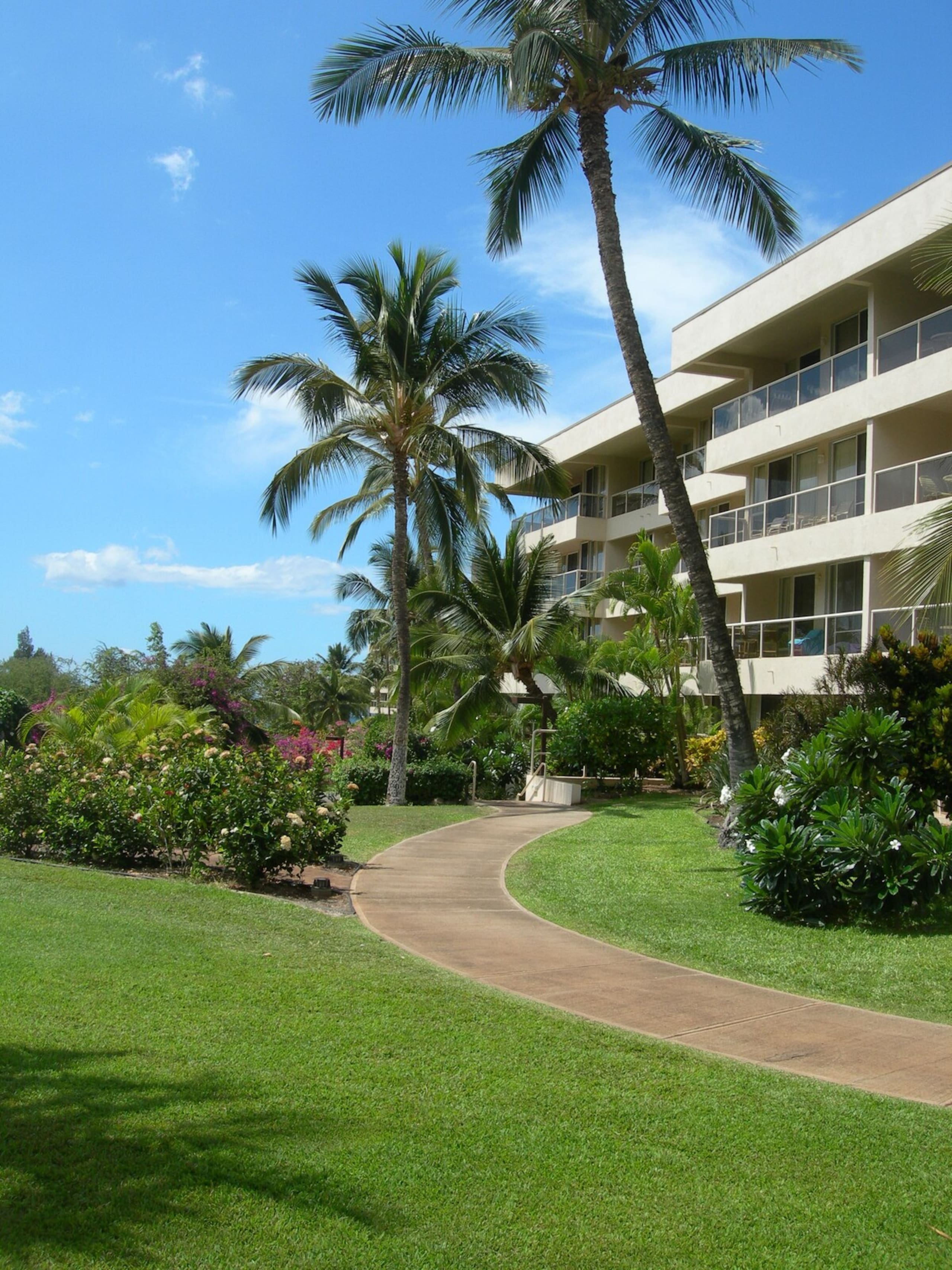 Maui Banyan Pool, Hot Tub, Walk to Beach - Photo 23