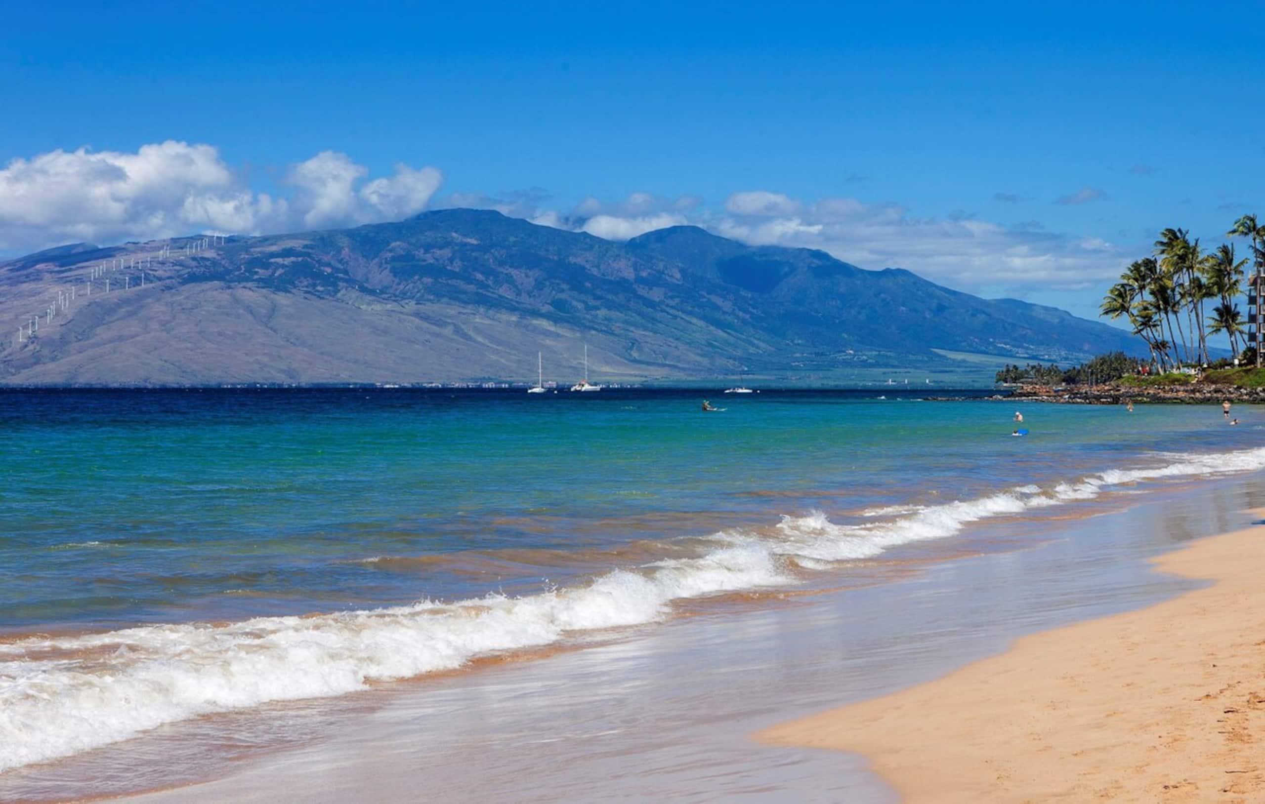 Maui Banyan Pool, Hot Tub, Walk to Beach - Photo 4