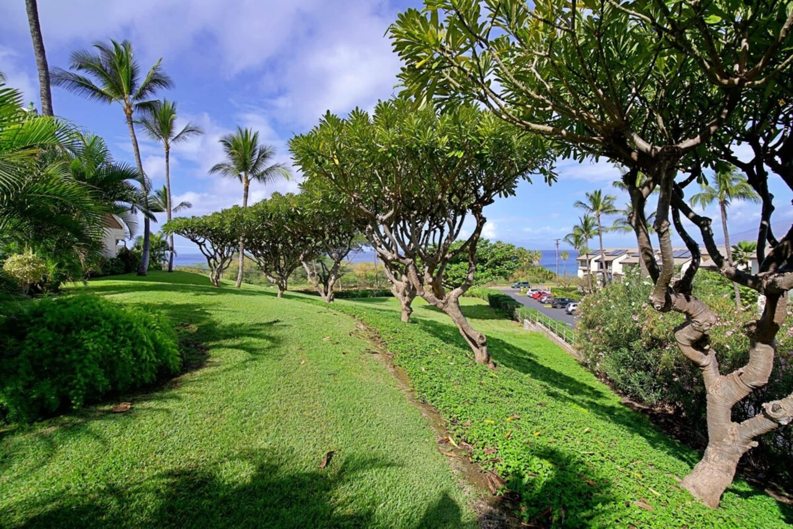 Front row of Maui Kamaole. Newly renovated unit wi - Photo 22