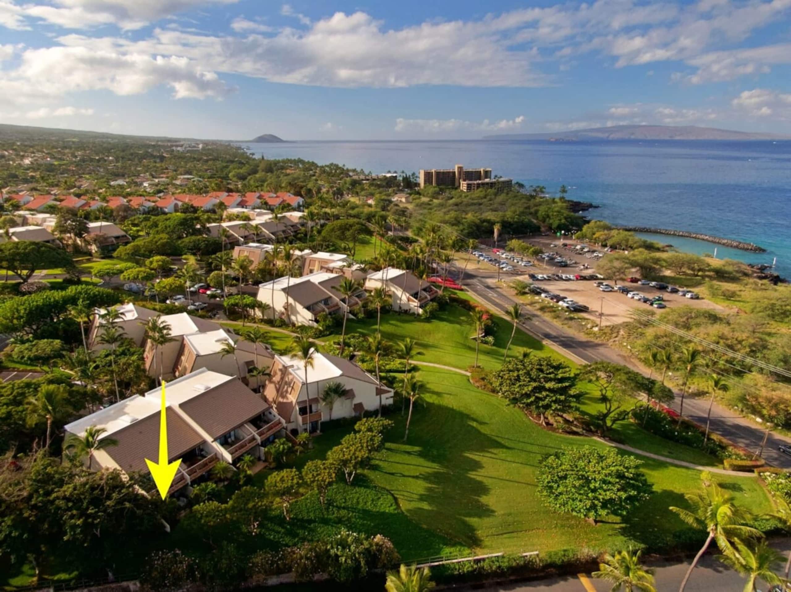 Front row of Maui Kamaole. Newly renovated unit wi - Photo 18