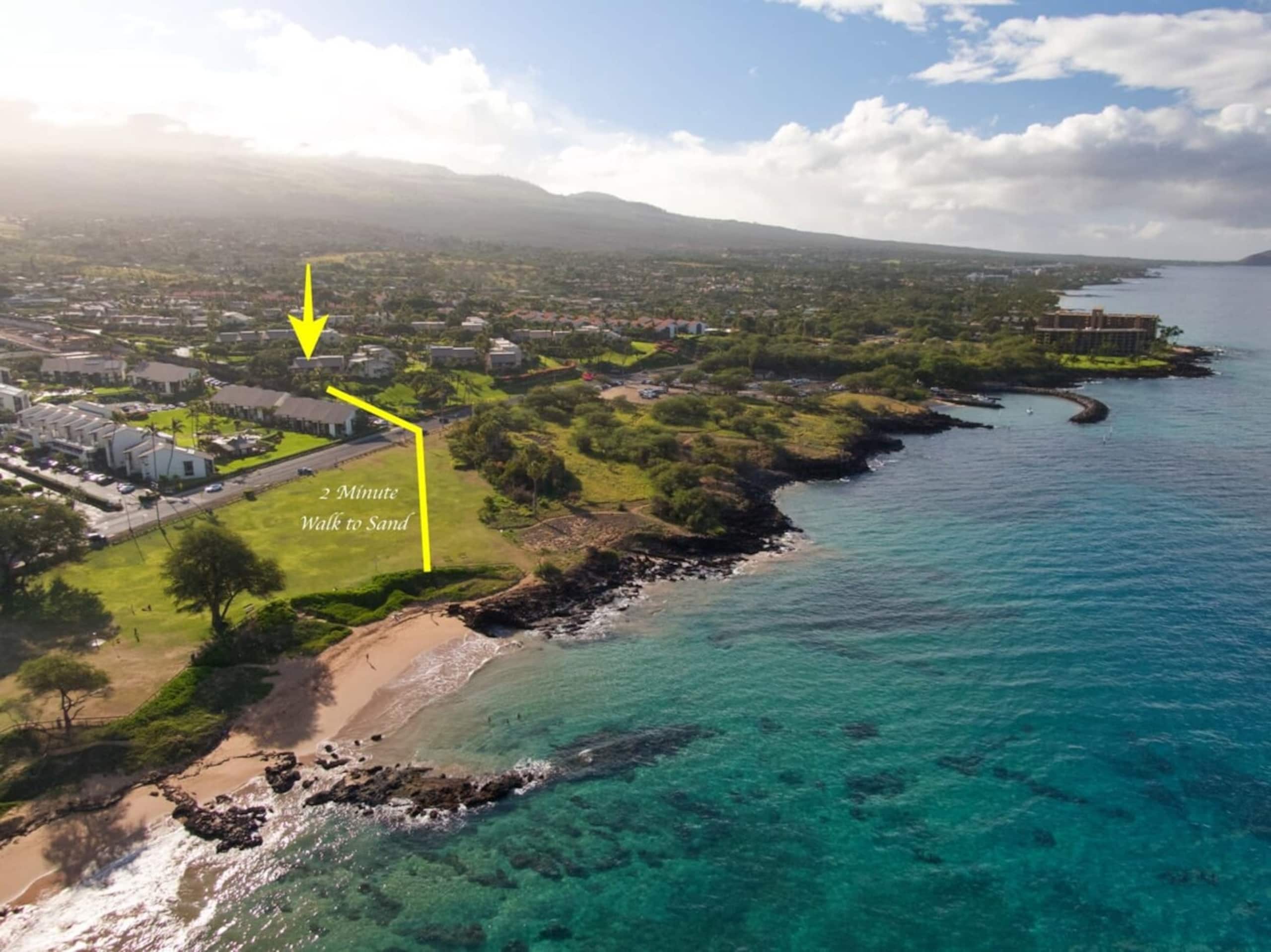 Front row of Maui Kamaole. Newly renovated unit wi - Photo 23