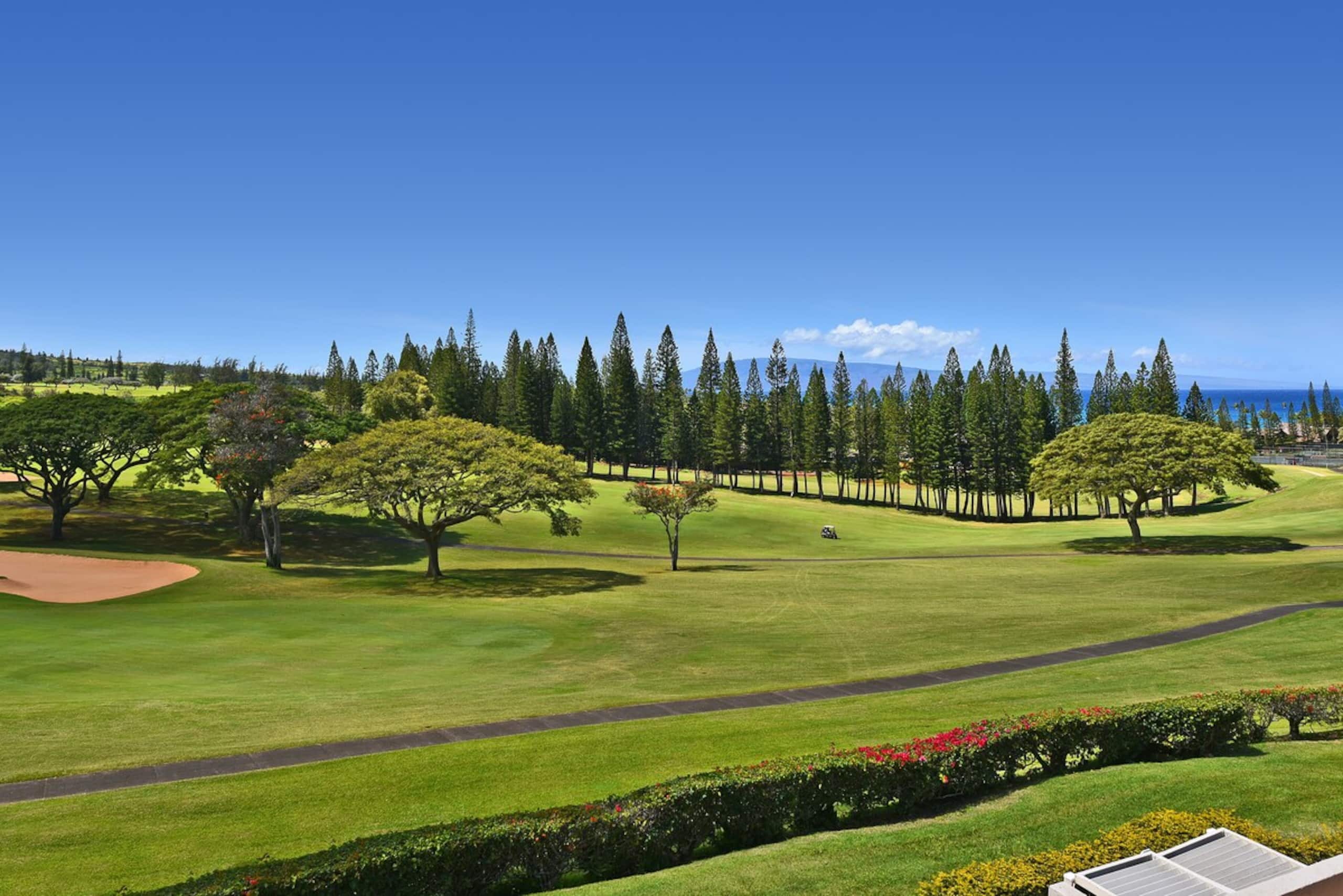 Special Kapalua Epic Views with No Resort Fees - Photo 45