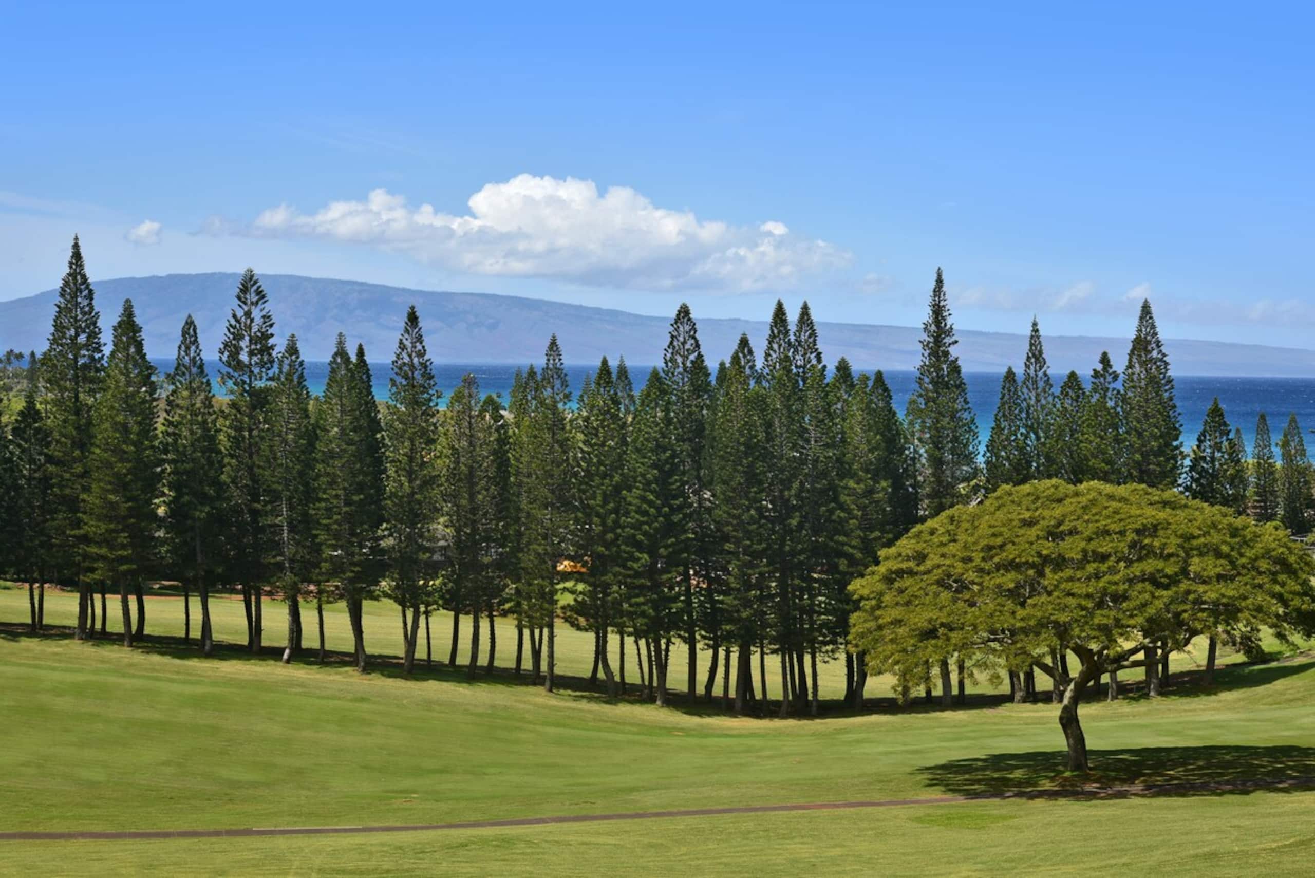 Special Kapalua Epic Views with No Resort Fees - Photo 43