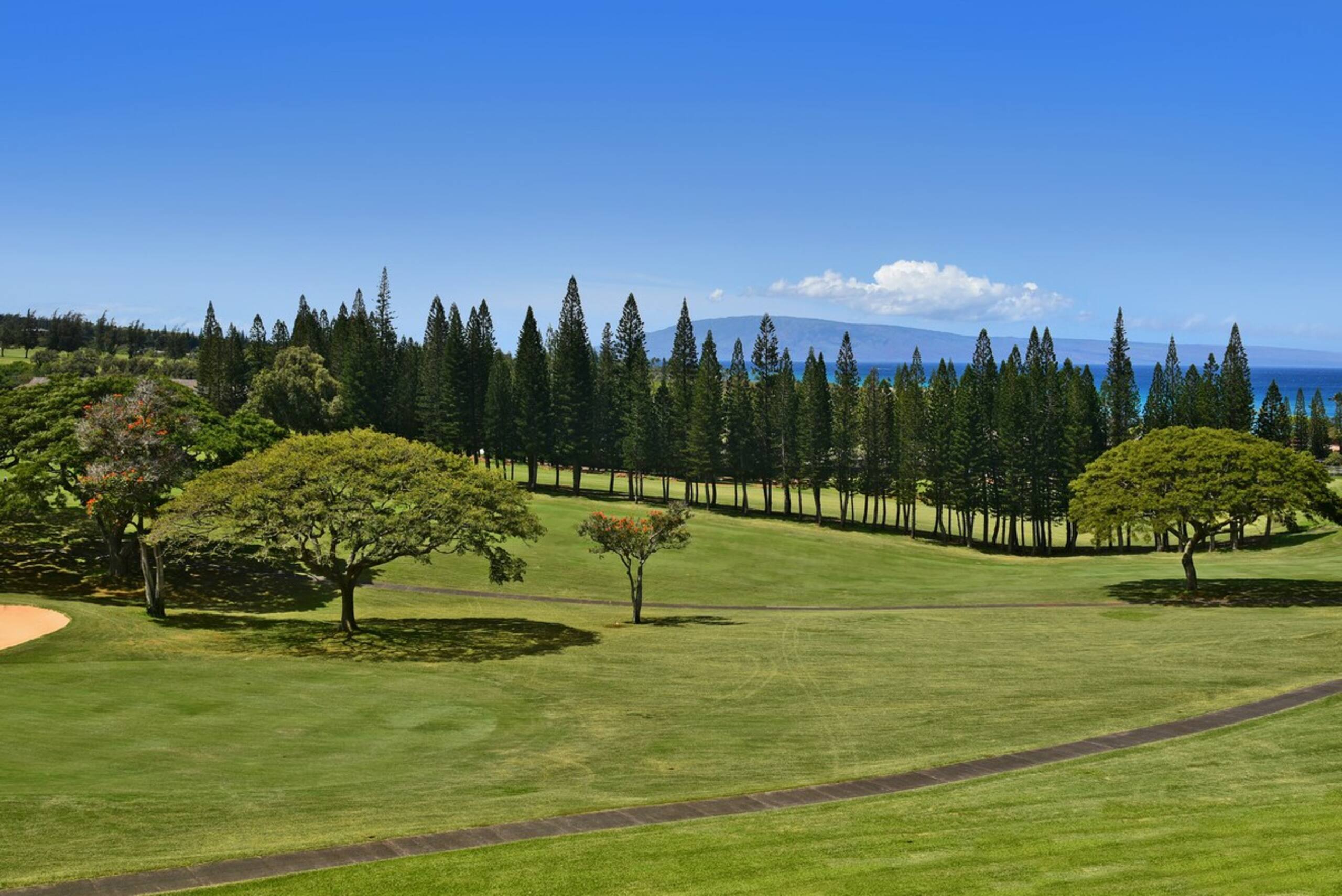 Special Kapalua Epic Views with No Resort Fees - Photo 44