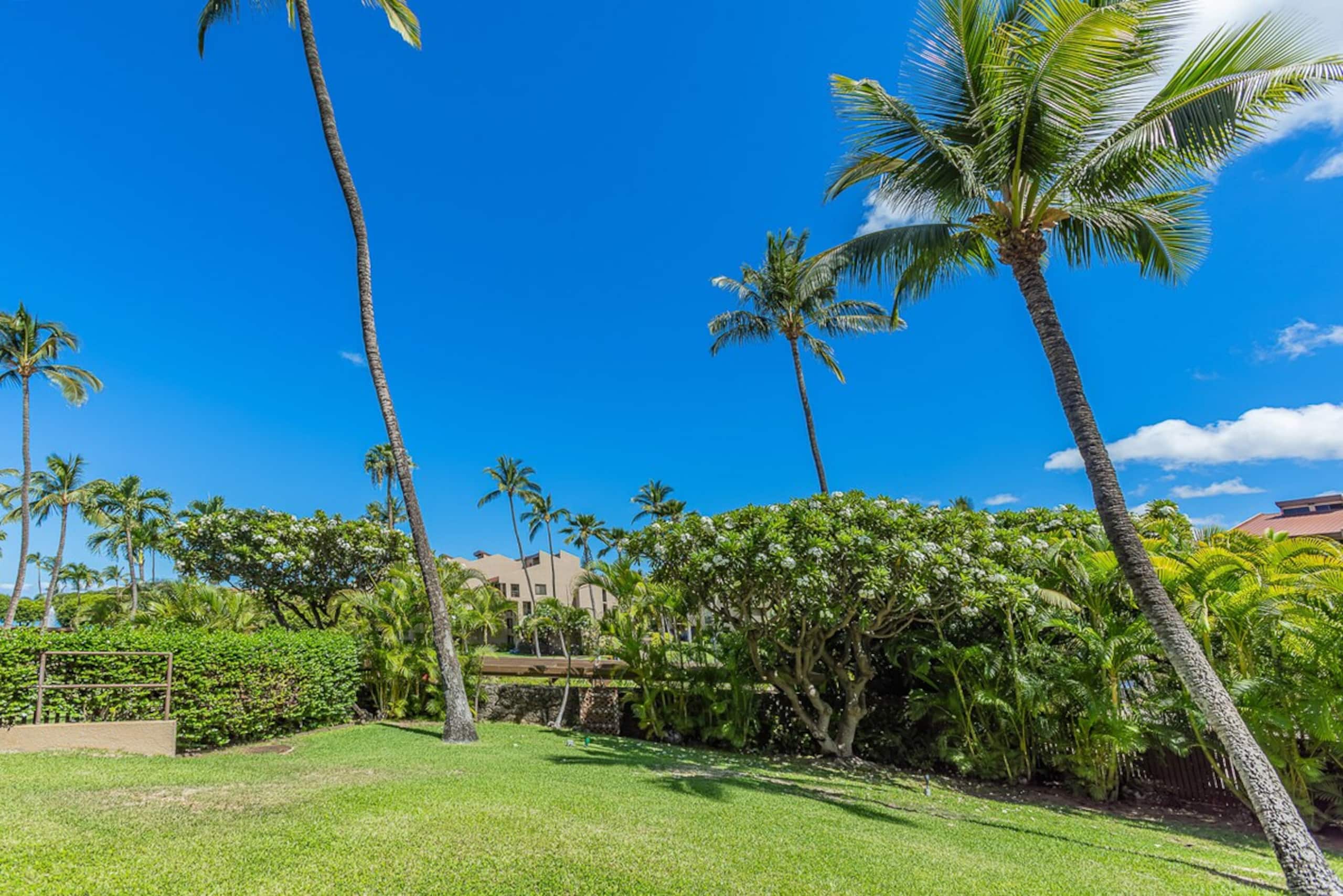 Ground floor across Kamaole Beach Park III - Photo 32