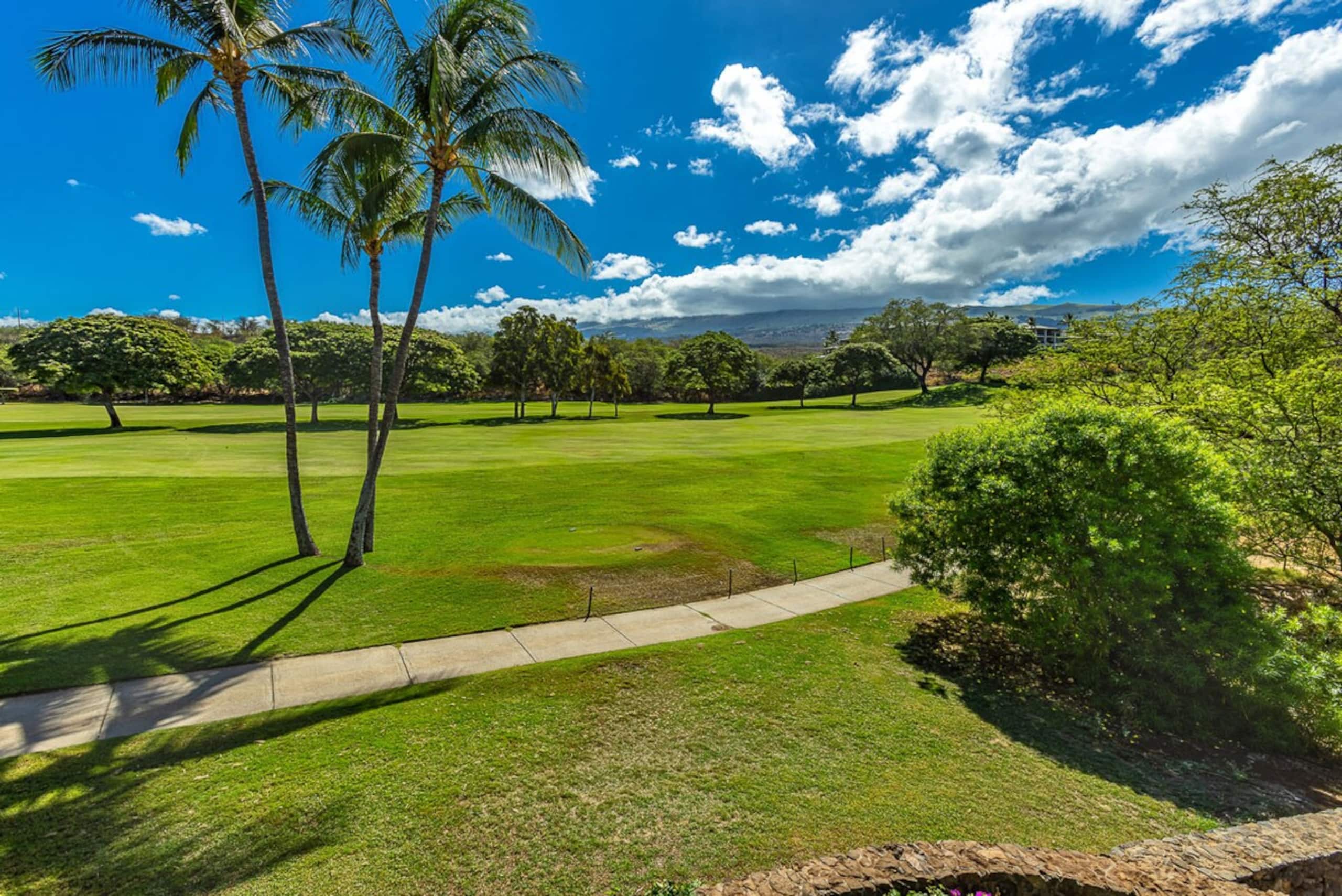 Wailea golf course condo w/ pool access - Photo 8