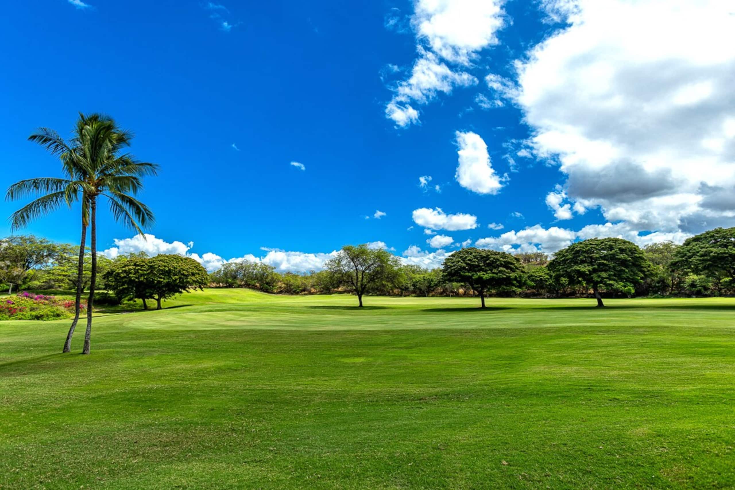 Wailea golf course condo w/ pool access - Photo 6