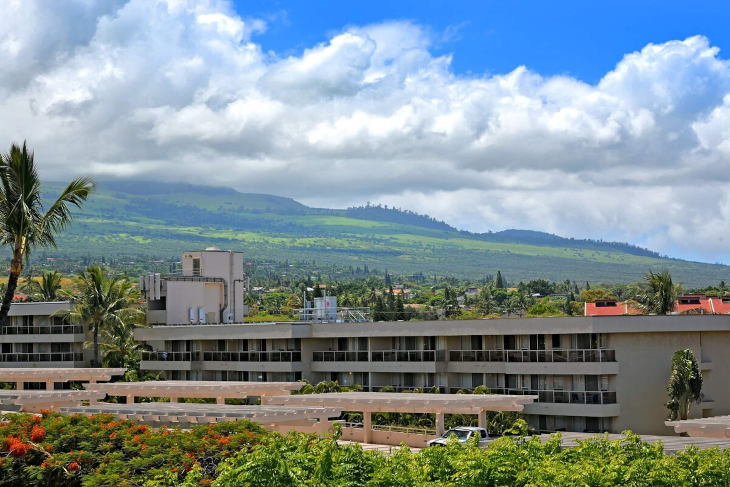 Cozy 1BD By Beach Ocean View Pool - Kihei Akahi - Photo 31