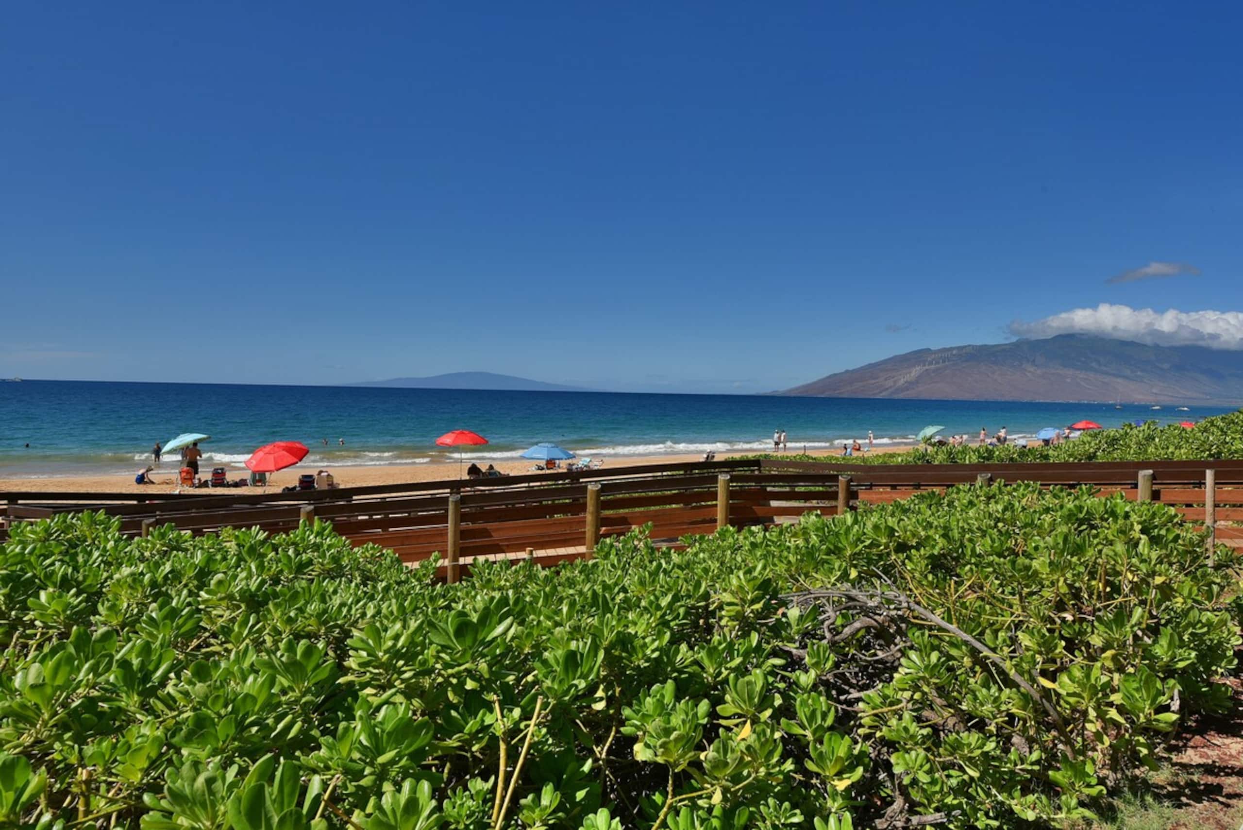 Cozy 1BD By Beach Ocean View Pool - Kihei Akahi - Photo 37