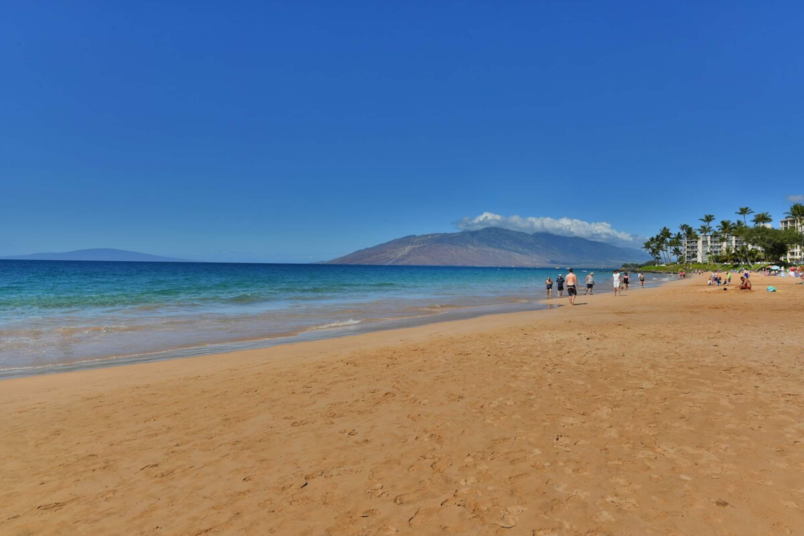 Cozy 1BD By Beach Ocean View Pool - Kihei Akahi - Photo 39