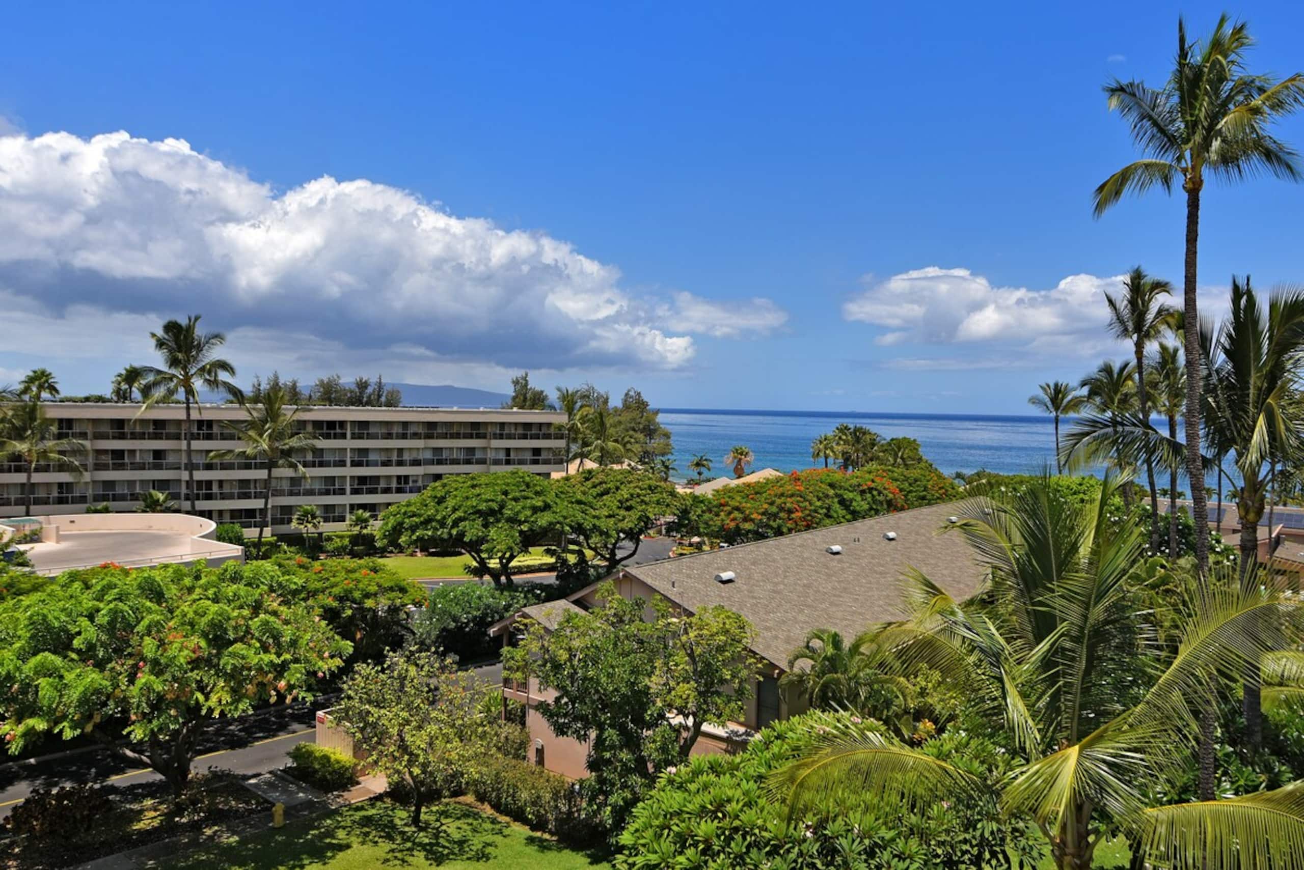 Cozy 1BD By Beach Ocean View Pool - Kihei Akahi - Photo 34