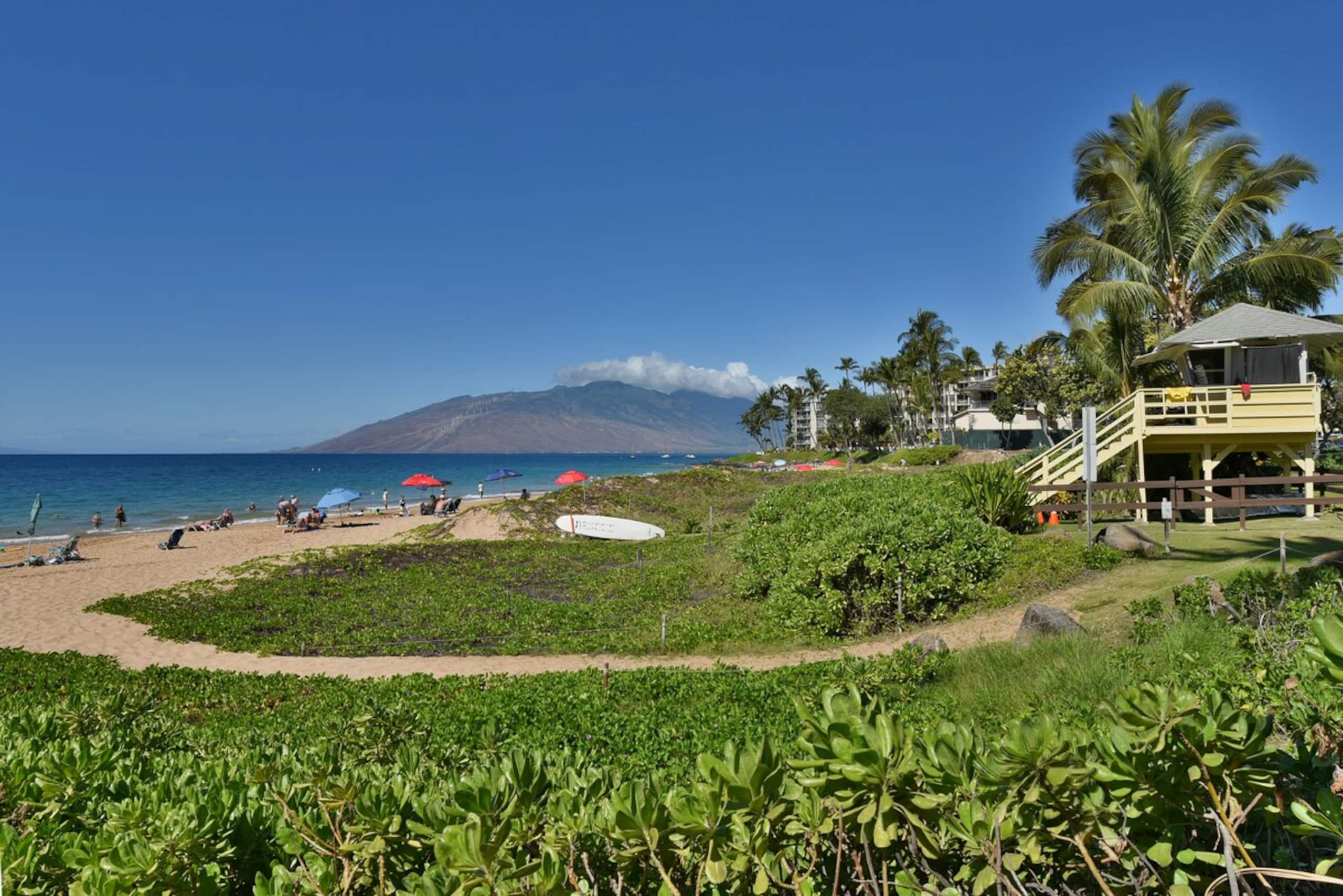 Cozy 1BD By Beach Ocean View Pool - Kihei Akahi - Photo 36