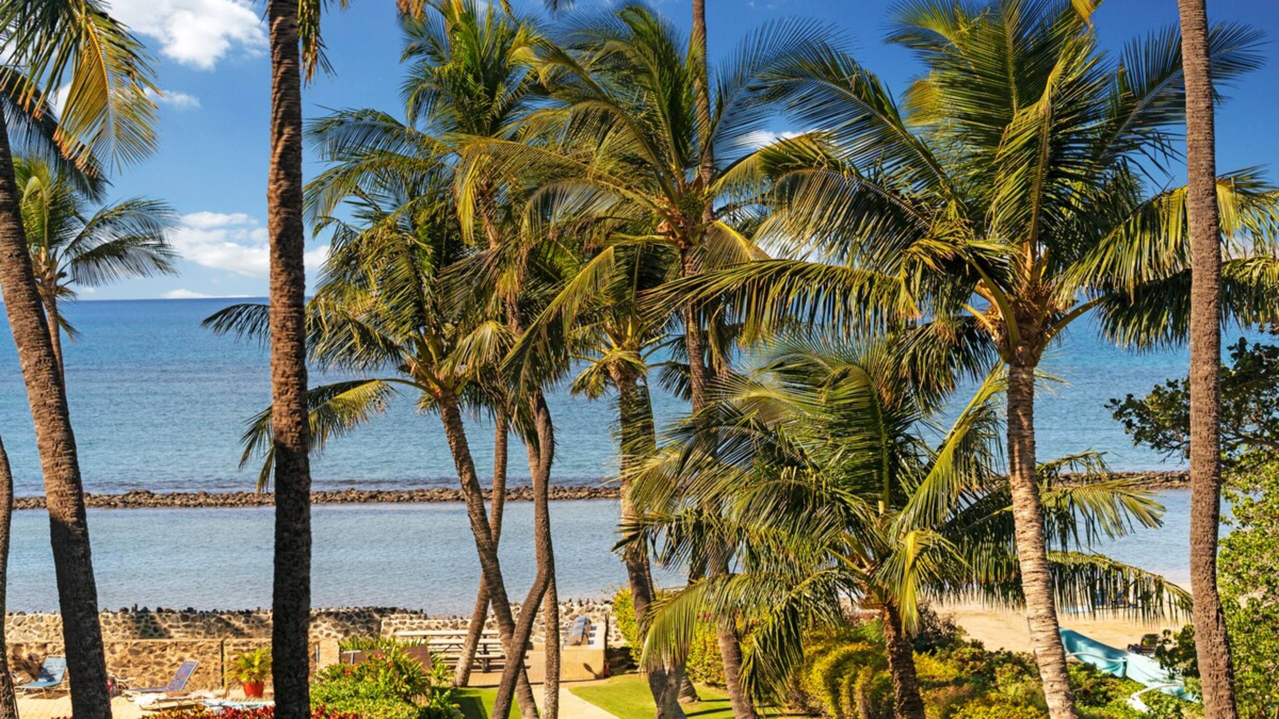 Updated BeachFront 2BD-Menehune Shores 402 - Photo 24