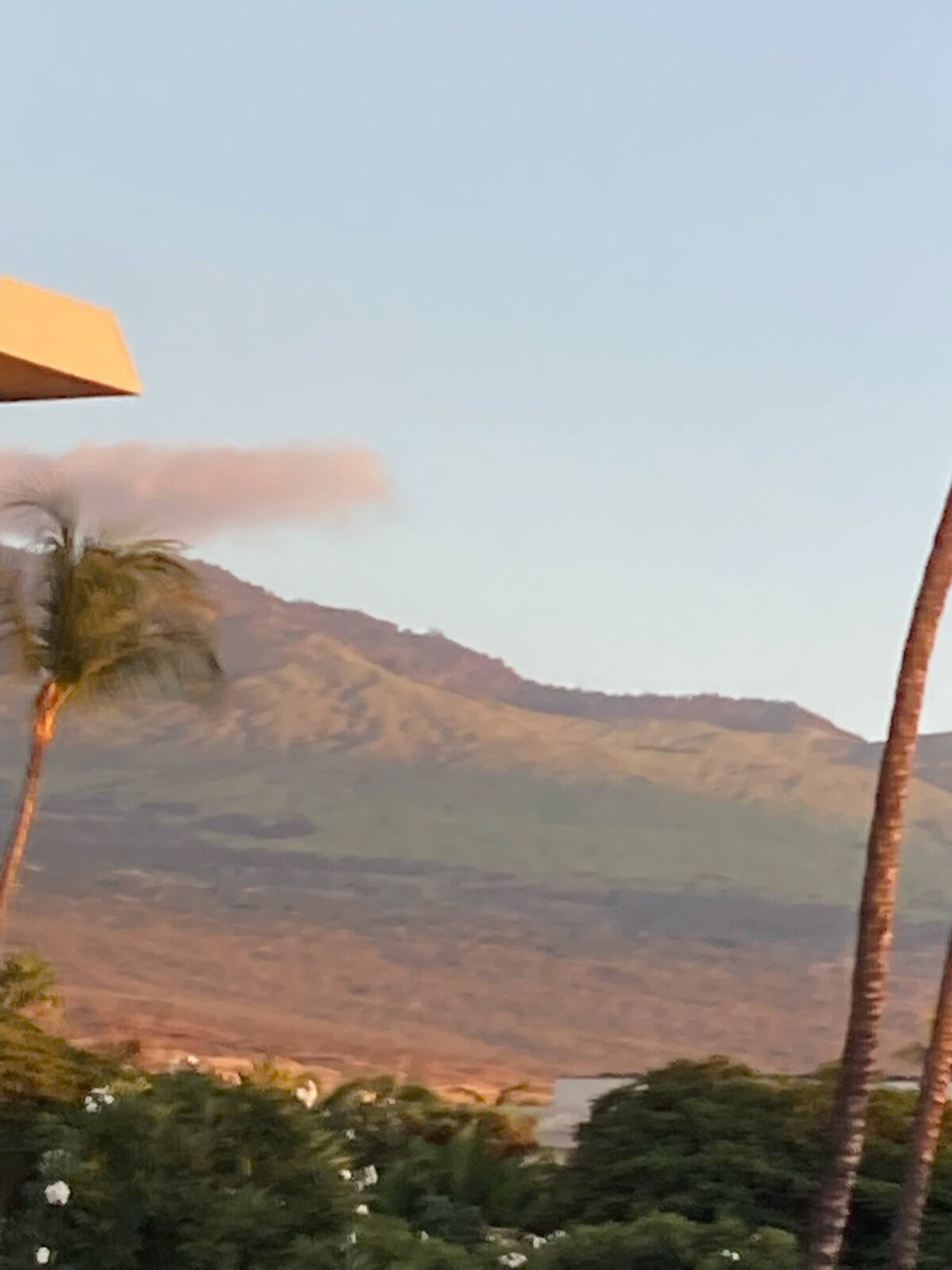 Kihei Akahi C317 Garden and Mountain View 1BD/1BA - Photo 32