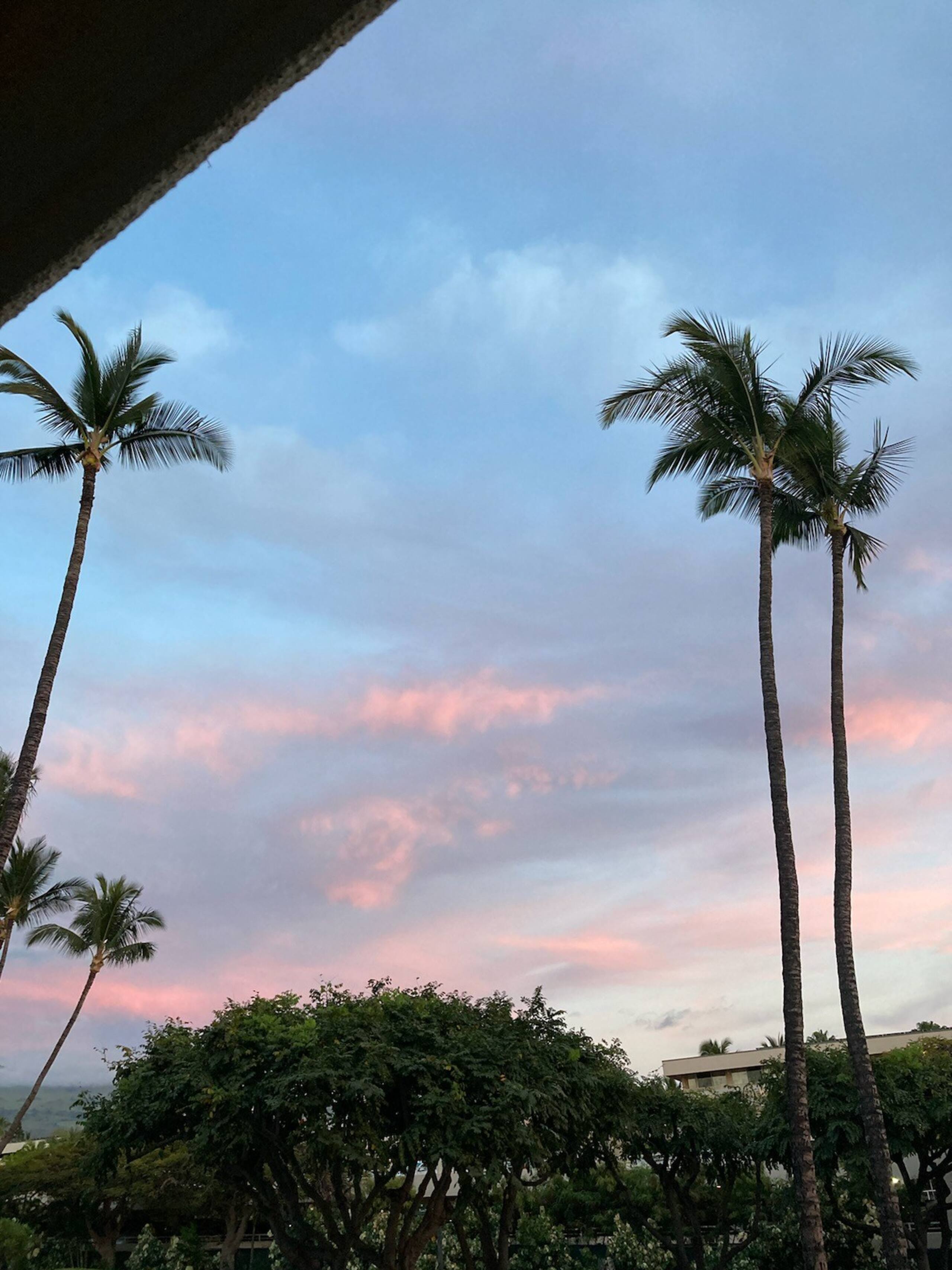 Kihei Akahi C317 Garden and Mountain View 1BD/1BA - Photo 11