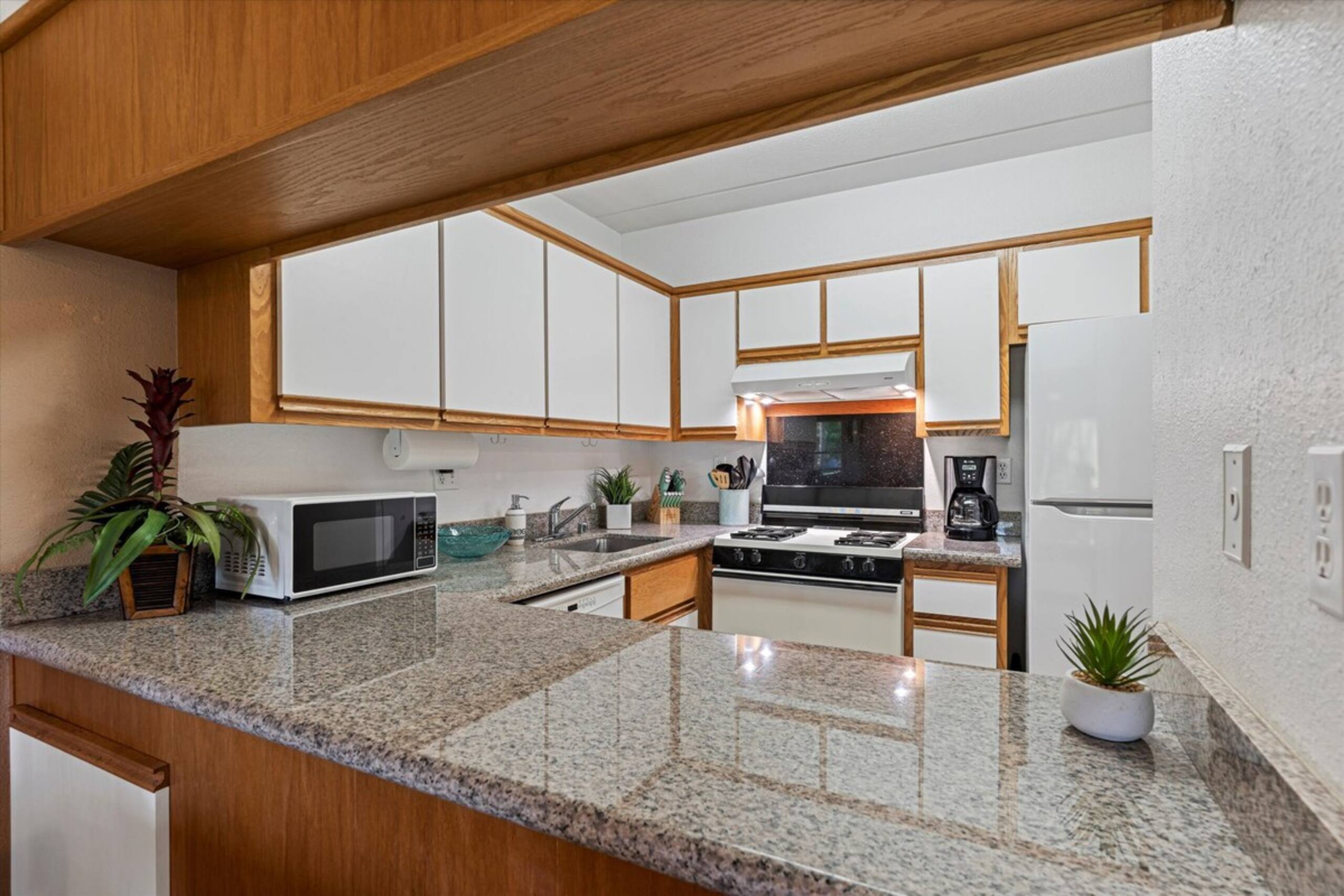 Kihei Akahi C317 Garden and Mountain View 1BD/1BA - Photo 22