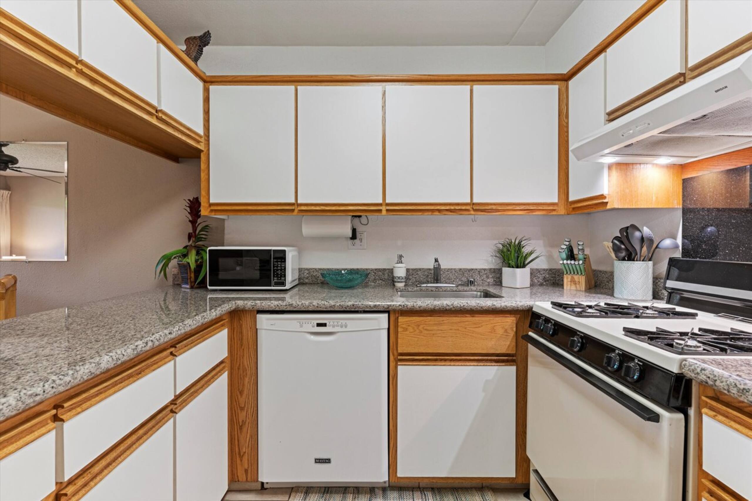 Kihei Akahi C317 Garden and Mountain View 1BD/1BA - Photo 3