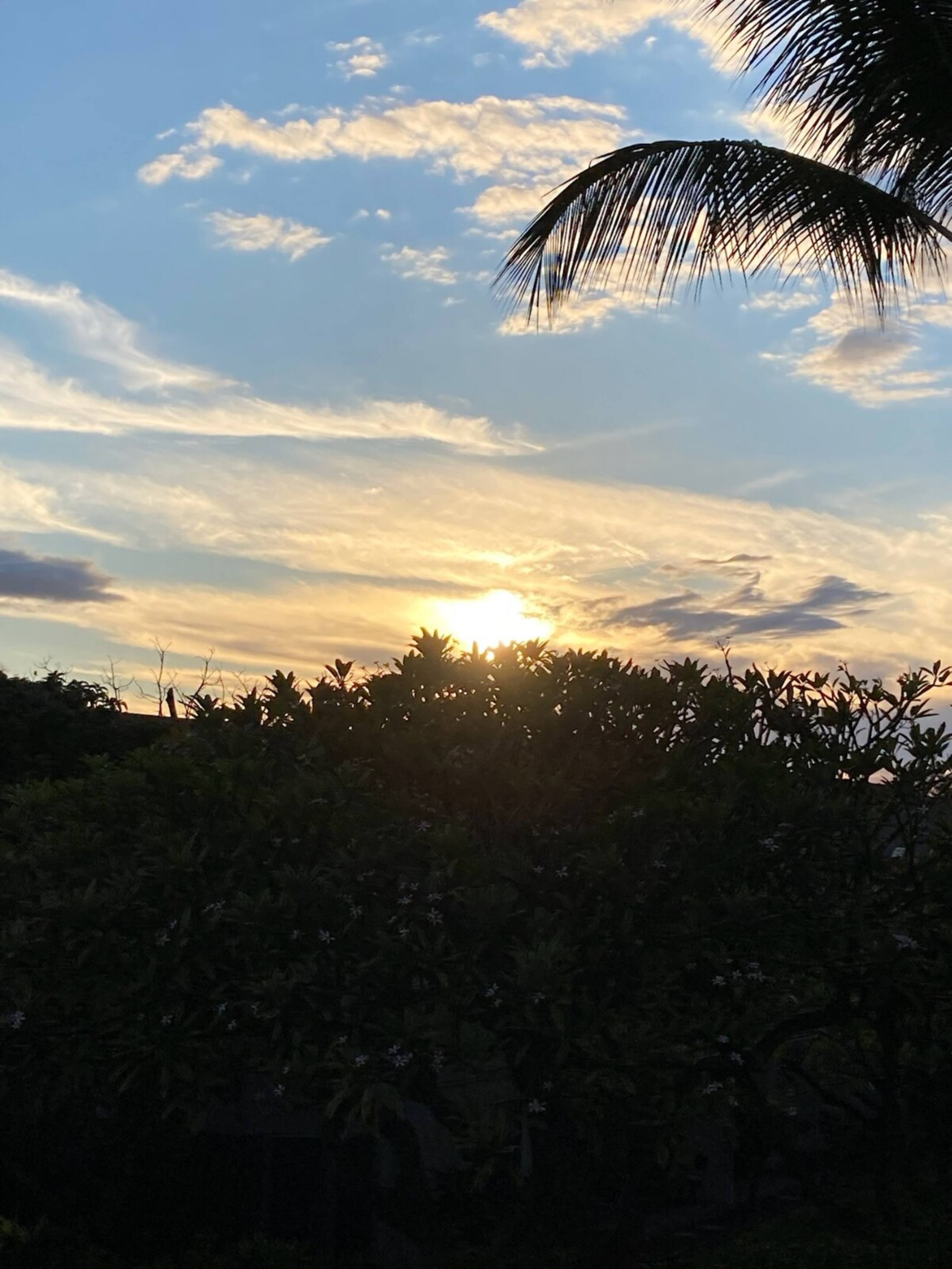 Kihei Akahi C317 Garden and Mountain View 1BD/1BA - Photo 7