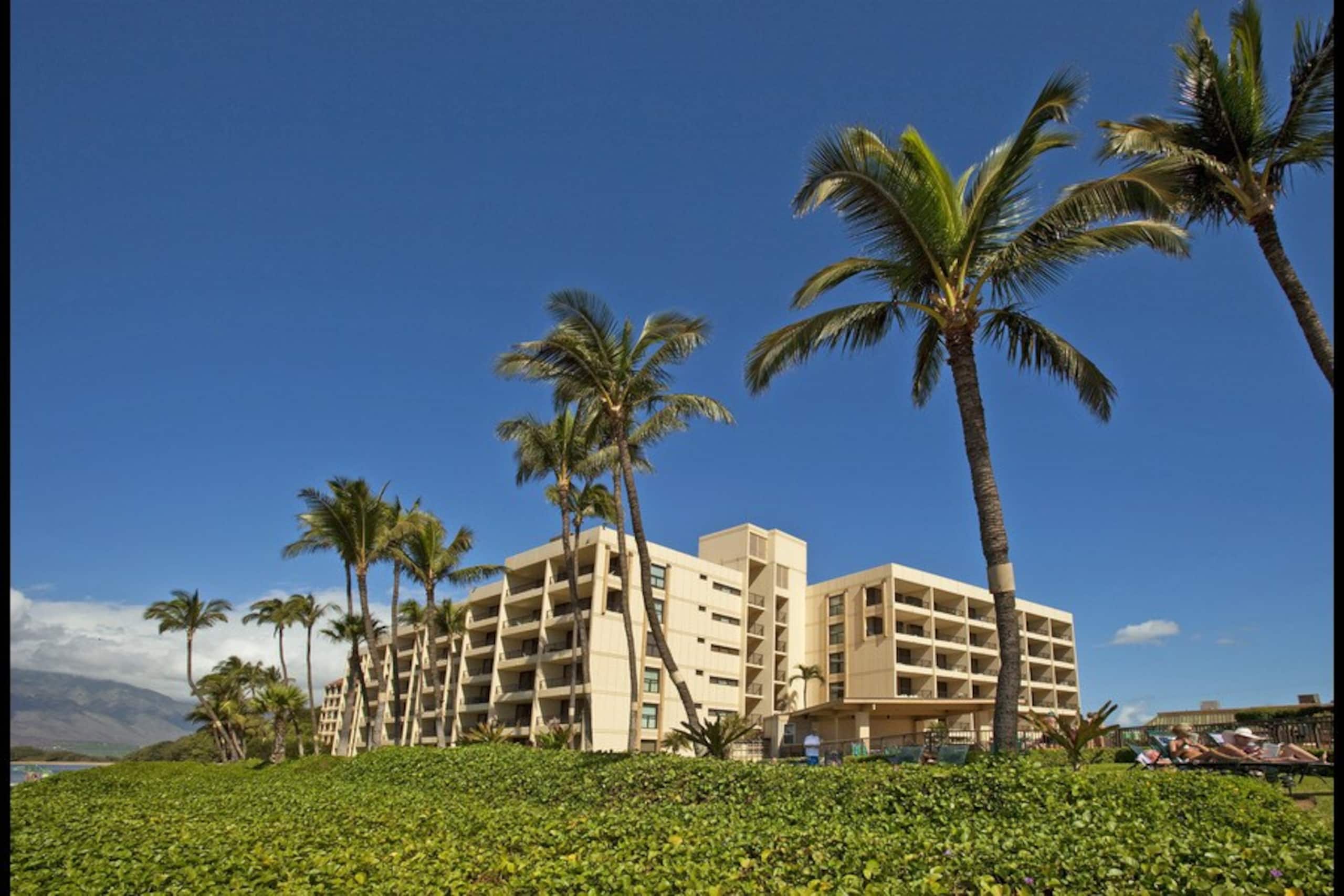 Upgraded Condo with Ocean Views- Sugar Beach 409 - Photo 32