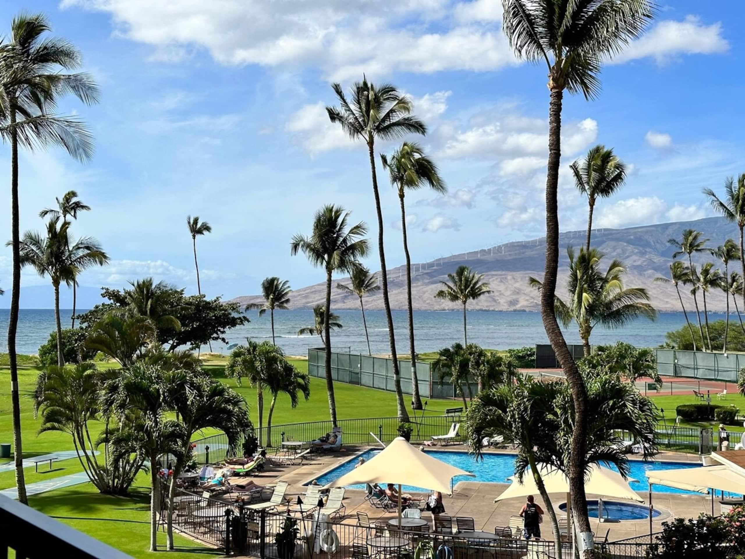 Recent updates with ocean views and beach access B - Main photo