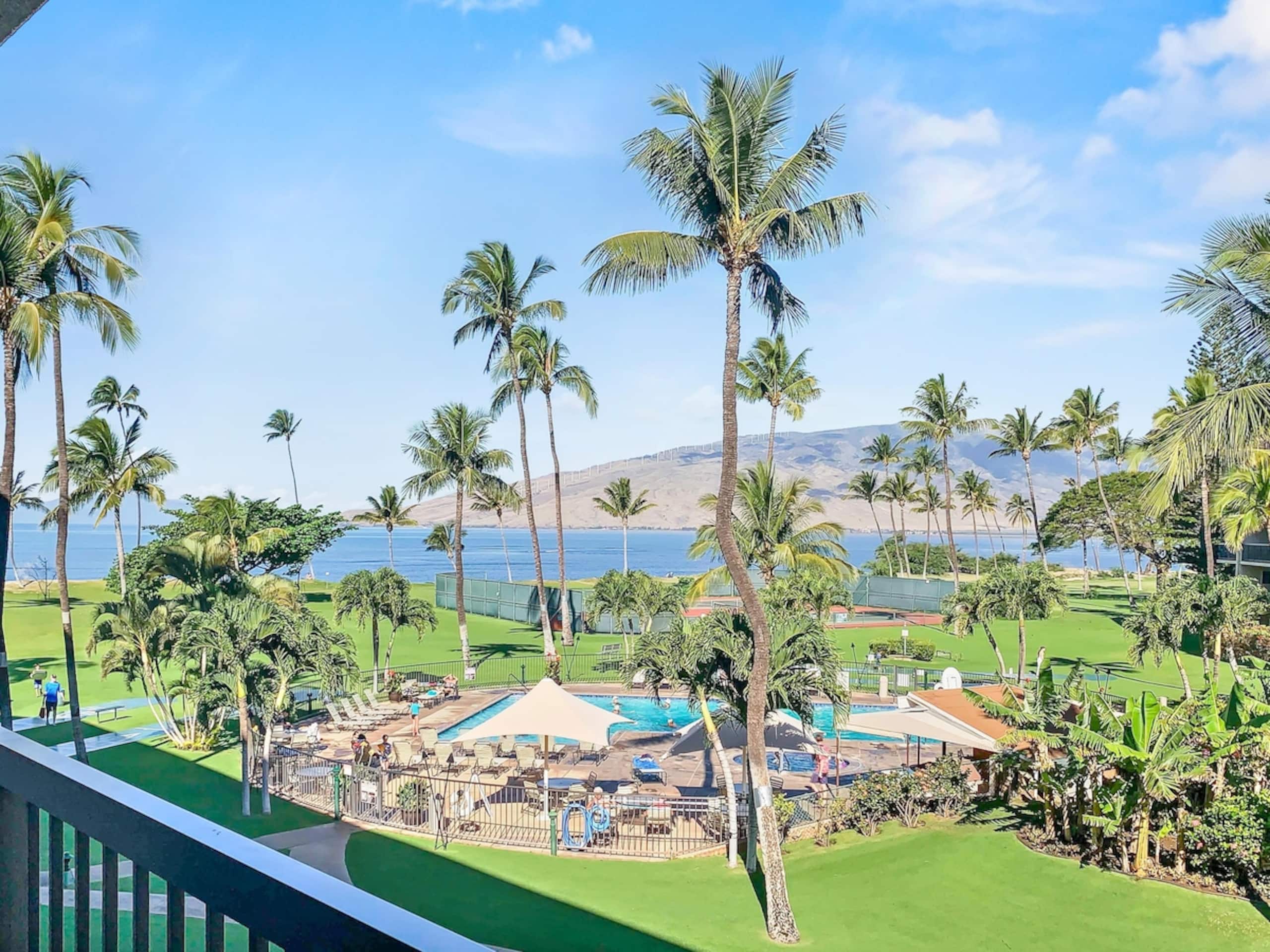 Recent updates with ocean views and beach access B - Photo 2
