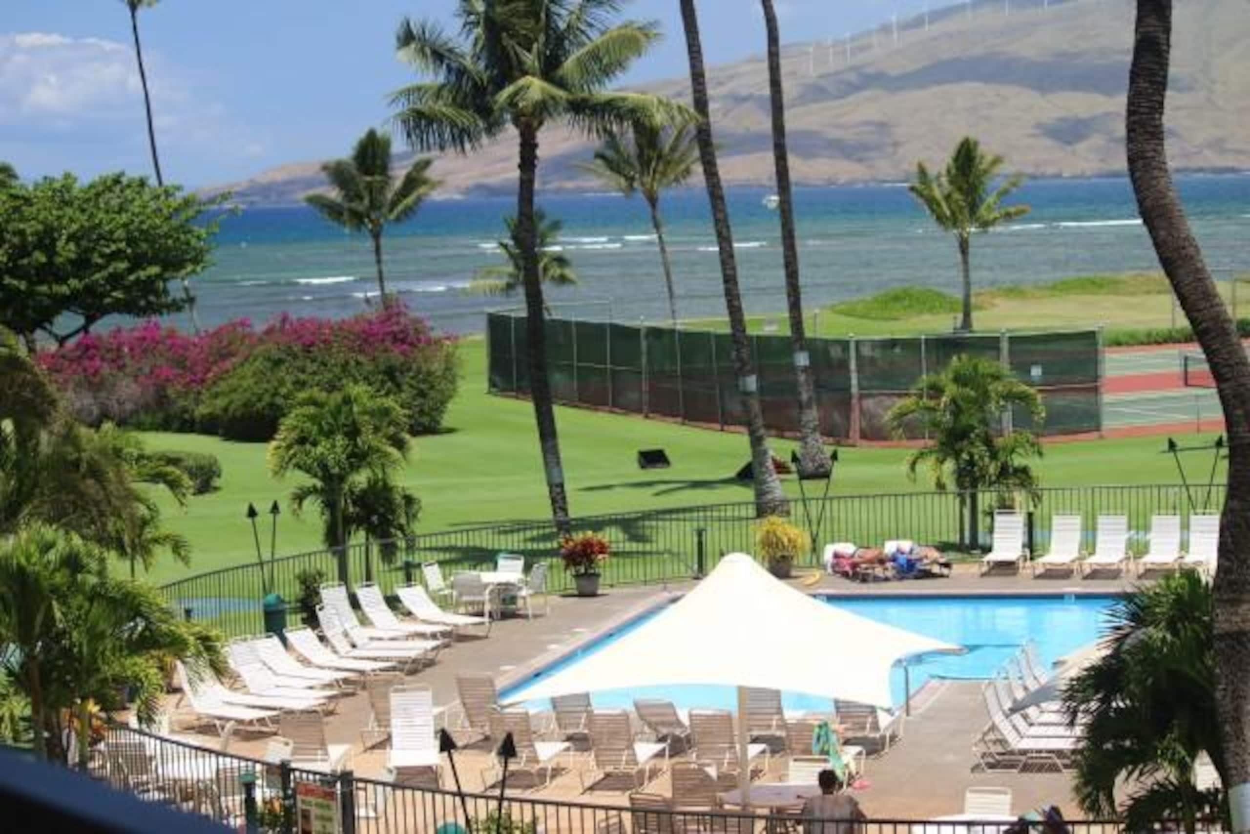 Recent updates with ocean views and beach access B - Photo 22