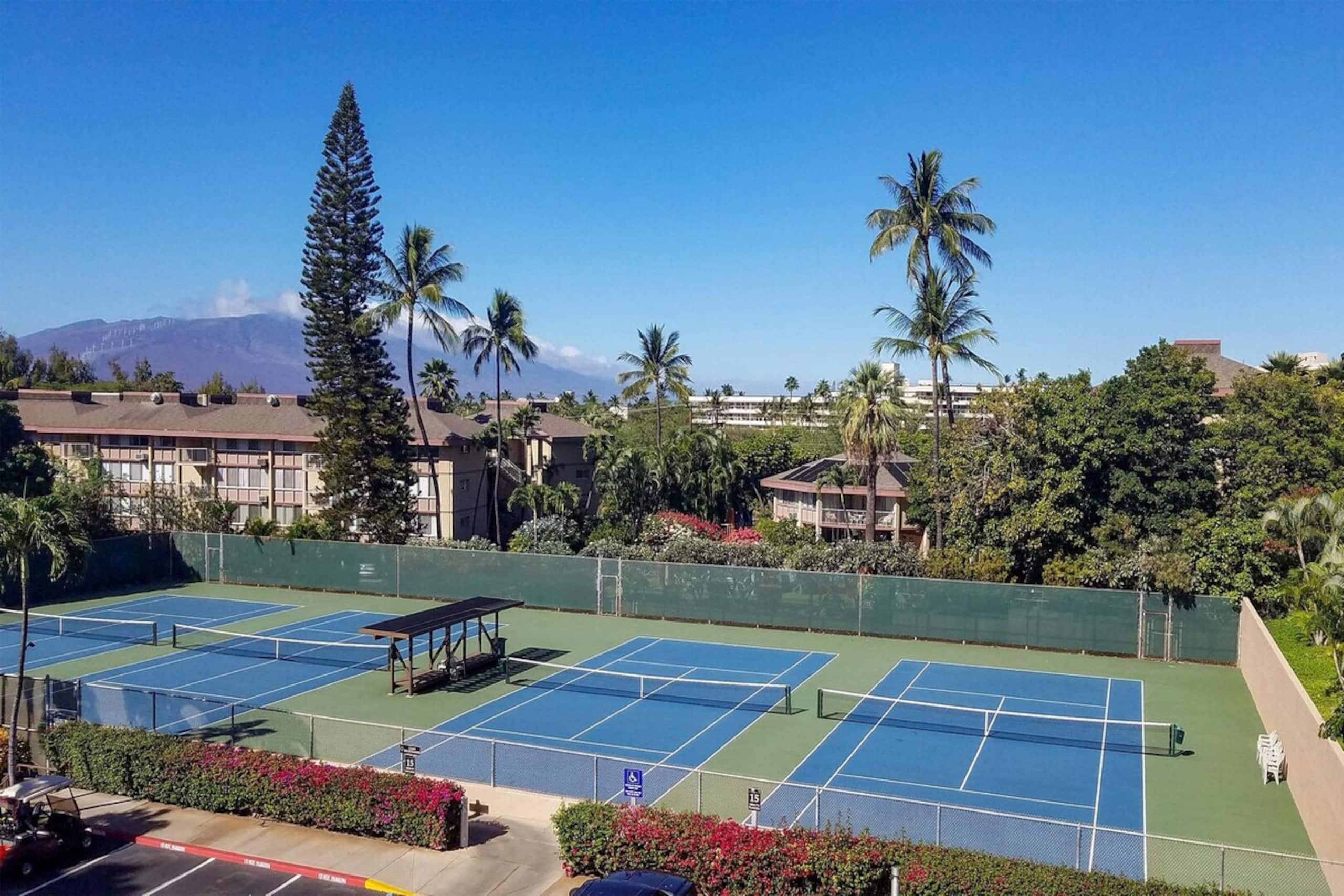 Kamaole Sands 6-202, Stunning Renovation, Split AC - Photo 38