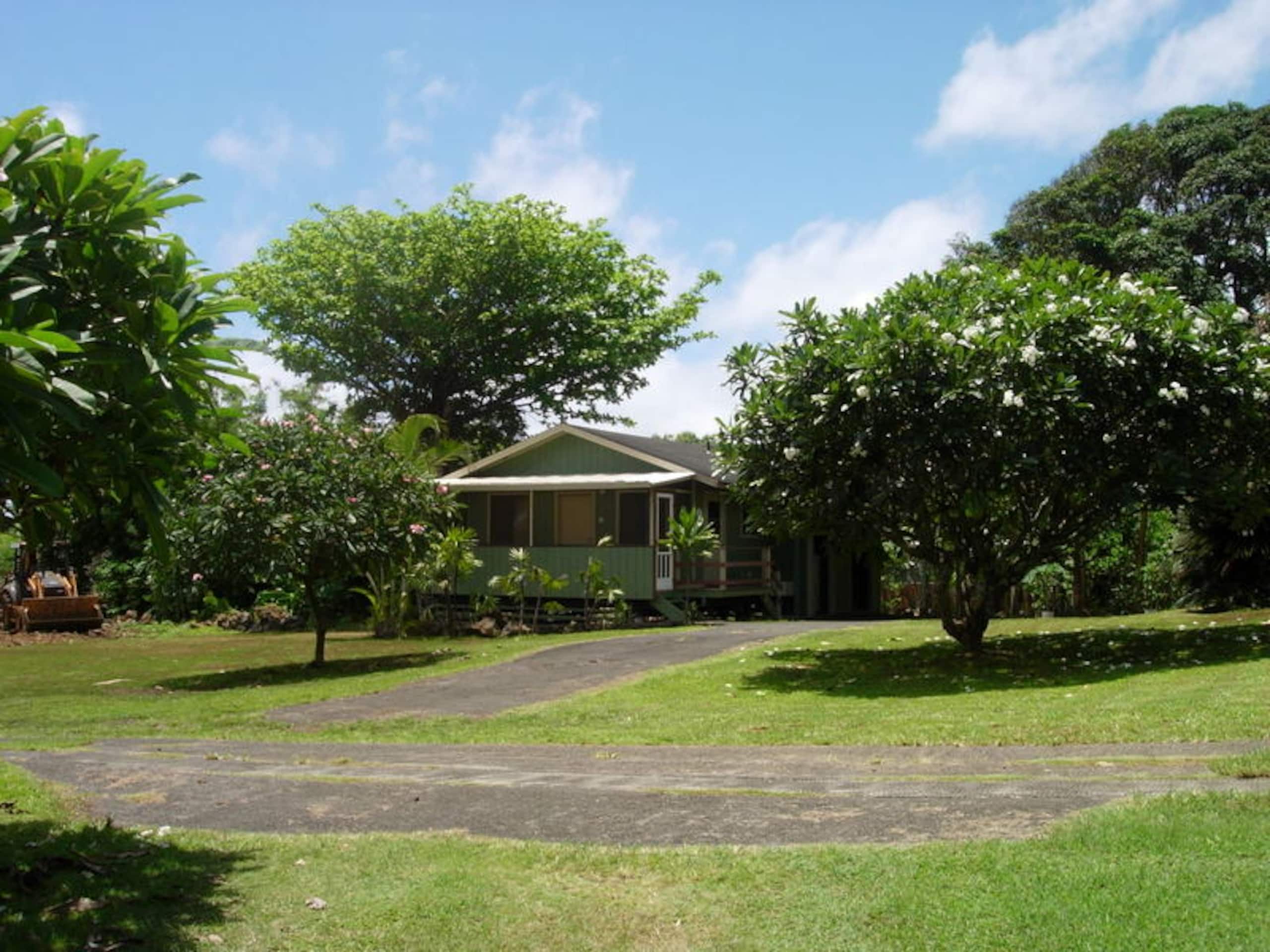 Hale Nanea - Photo 7