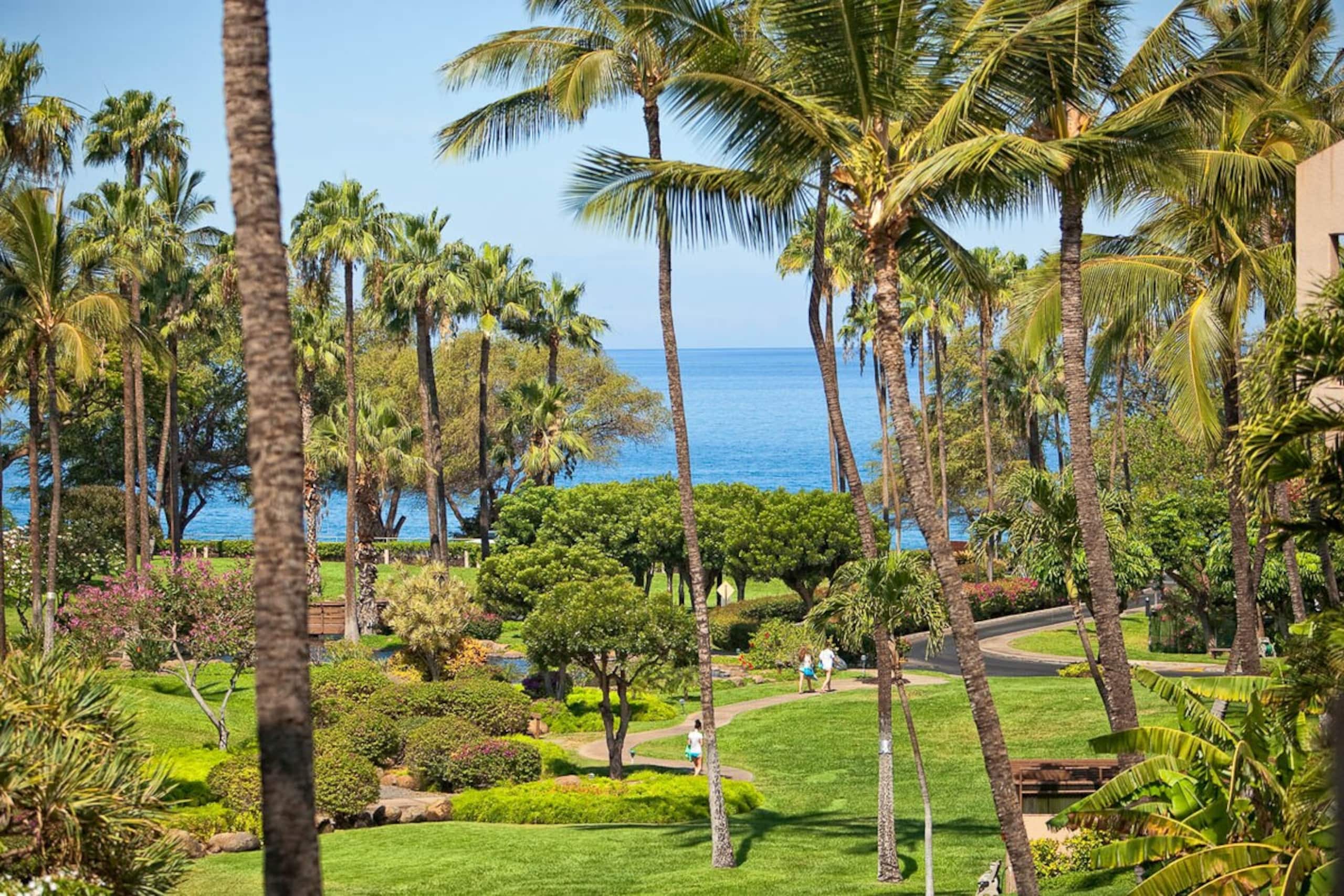 Beachfront 1BR w/ pool and hot tubs in Kihei - Photo 43