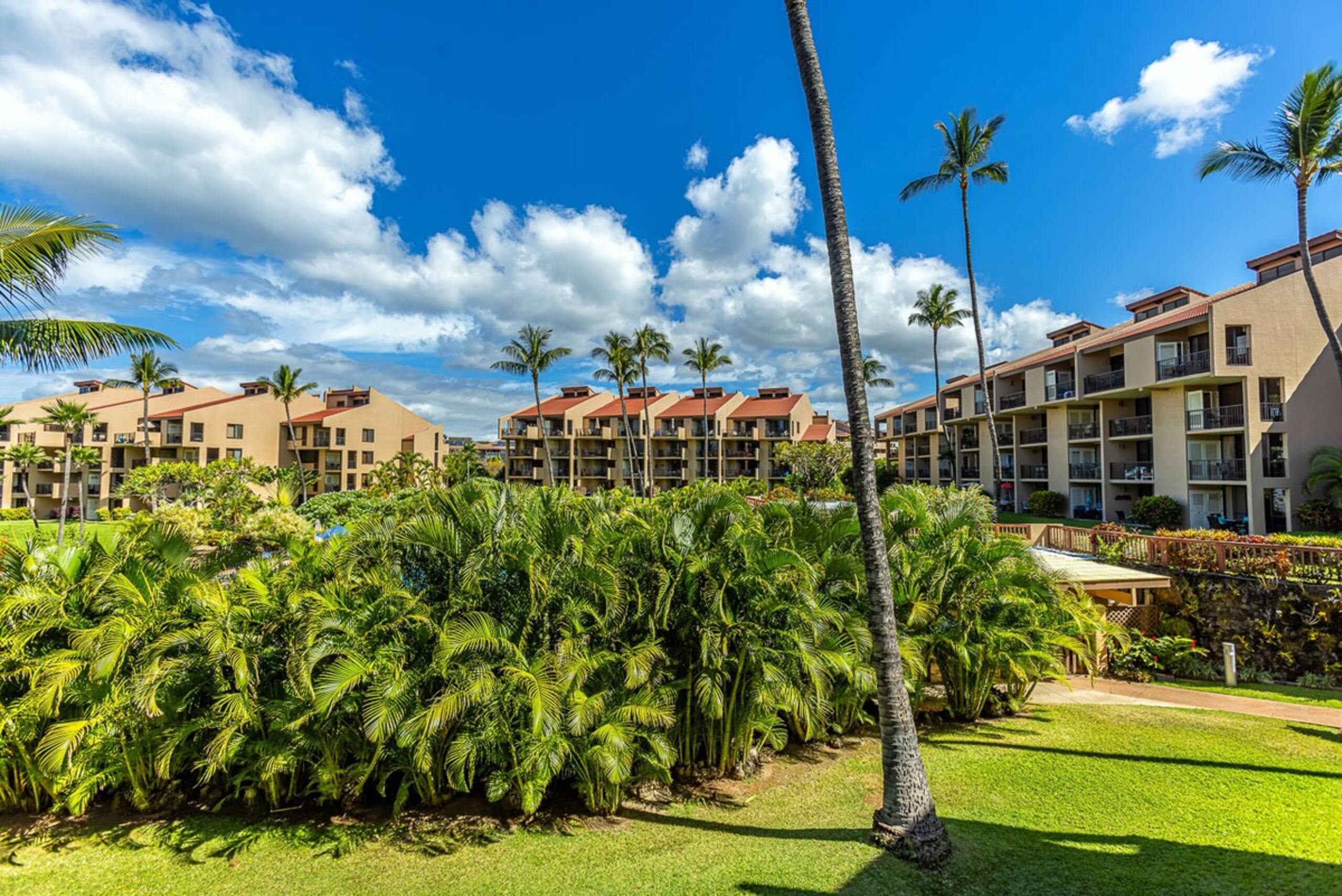 Beachfront 1BR w/ pool and hot tubs in Kihei - Photo 49