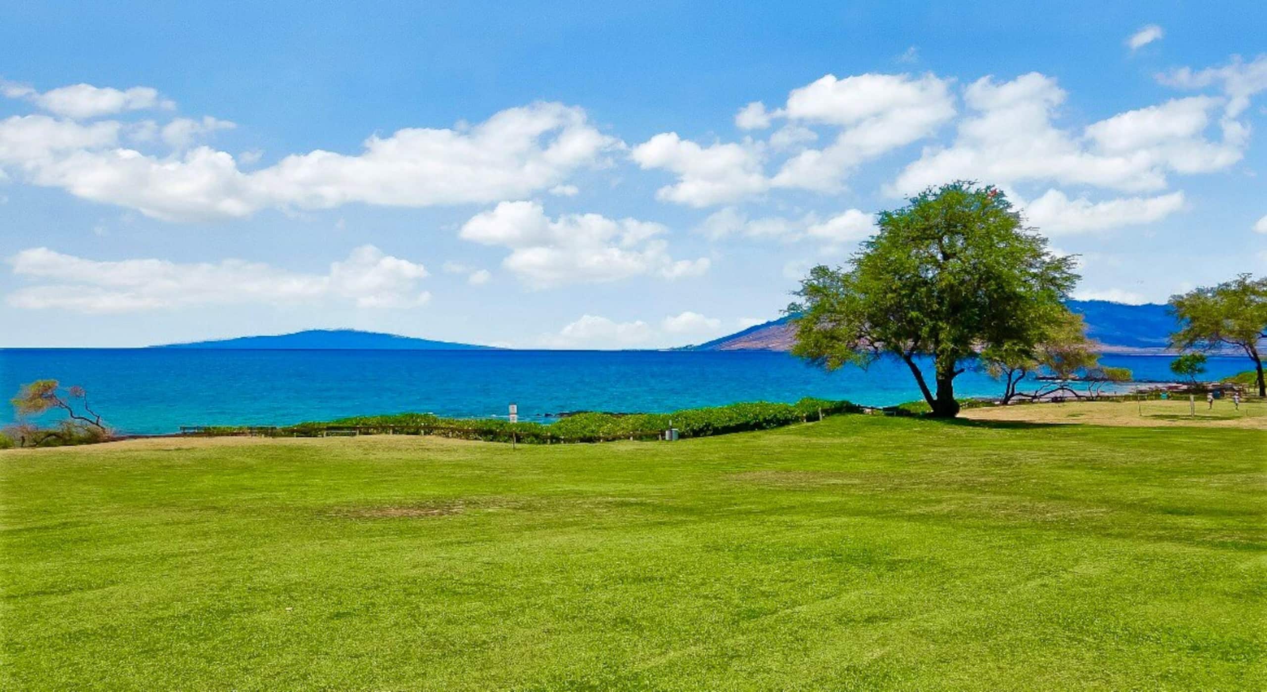 40% off price. Ocean view Steps from the beach. - Photo 44