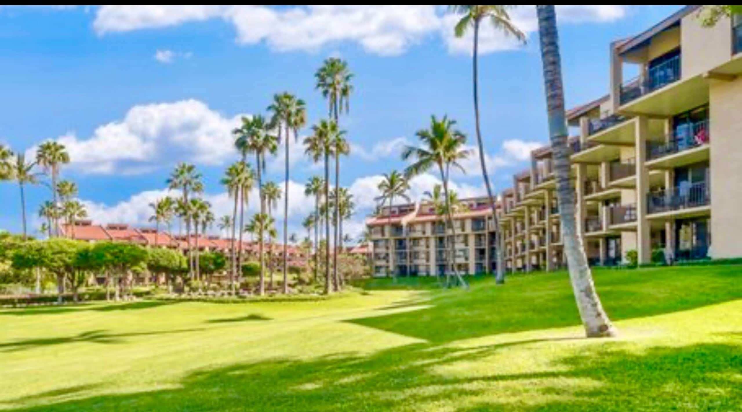 40% off price. Ocean view Steps from the beach. - Photo 42