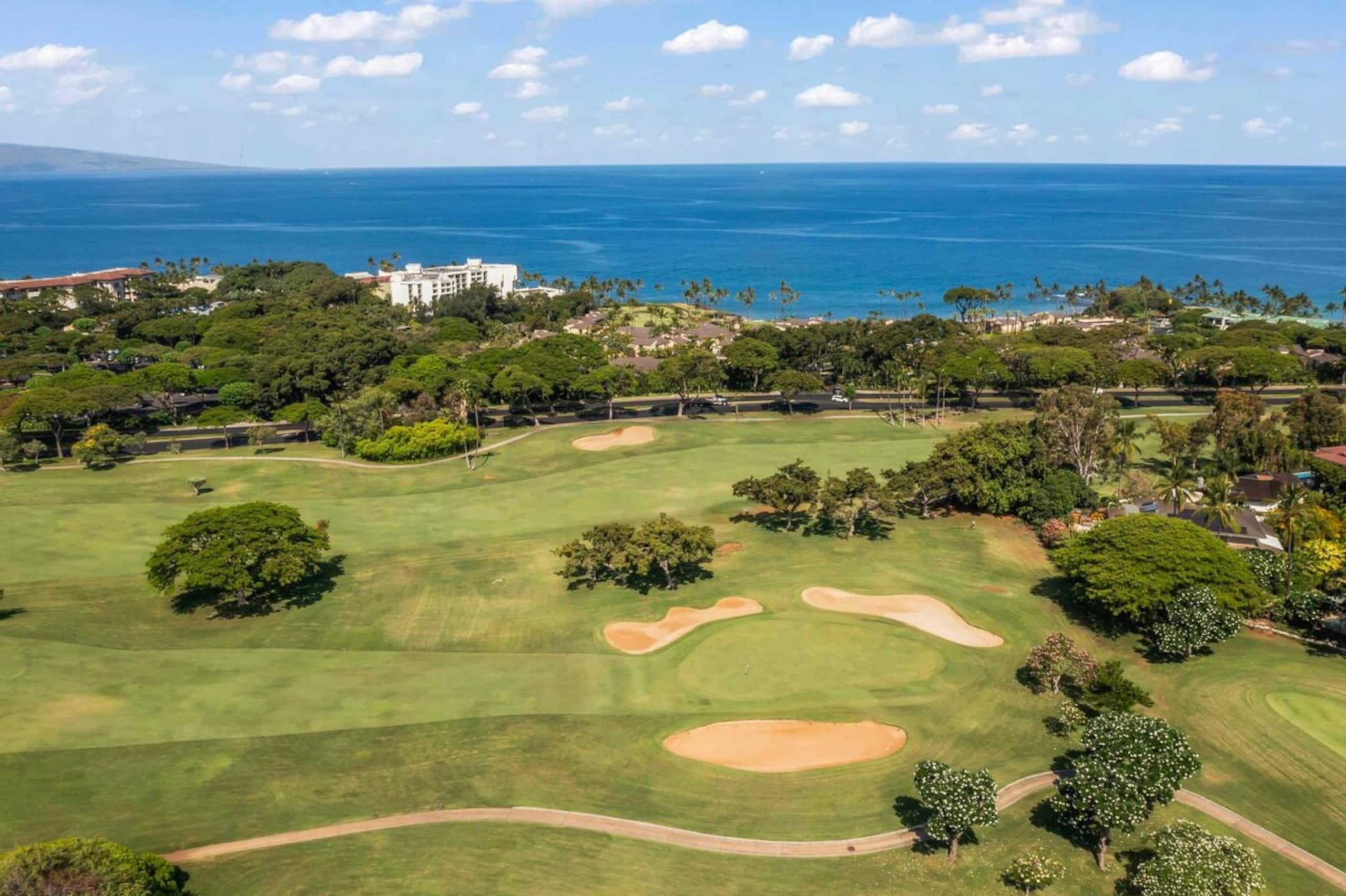 Serene Wailea retreat | Near beaches | A/C - Photo 31
