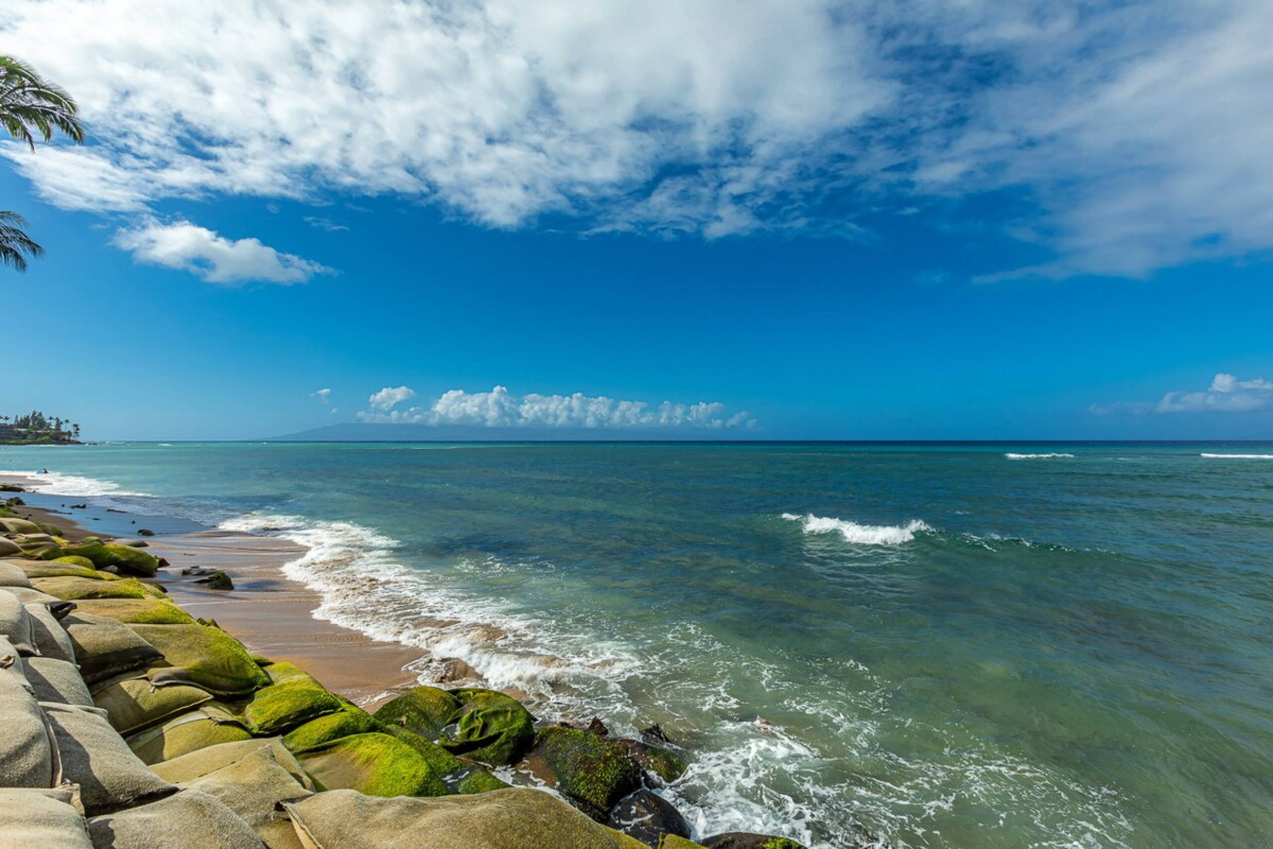 Oceanfront condo w/ lanai and pool access - Photo 50